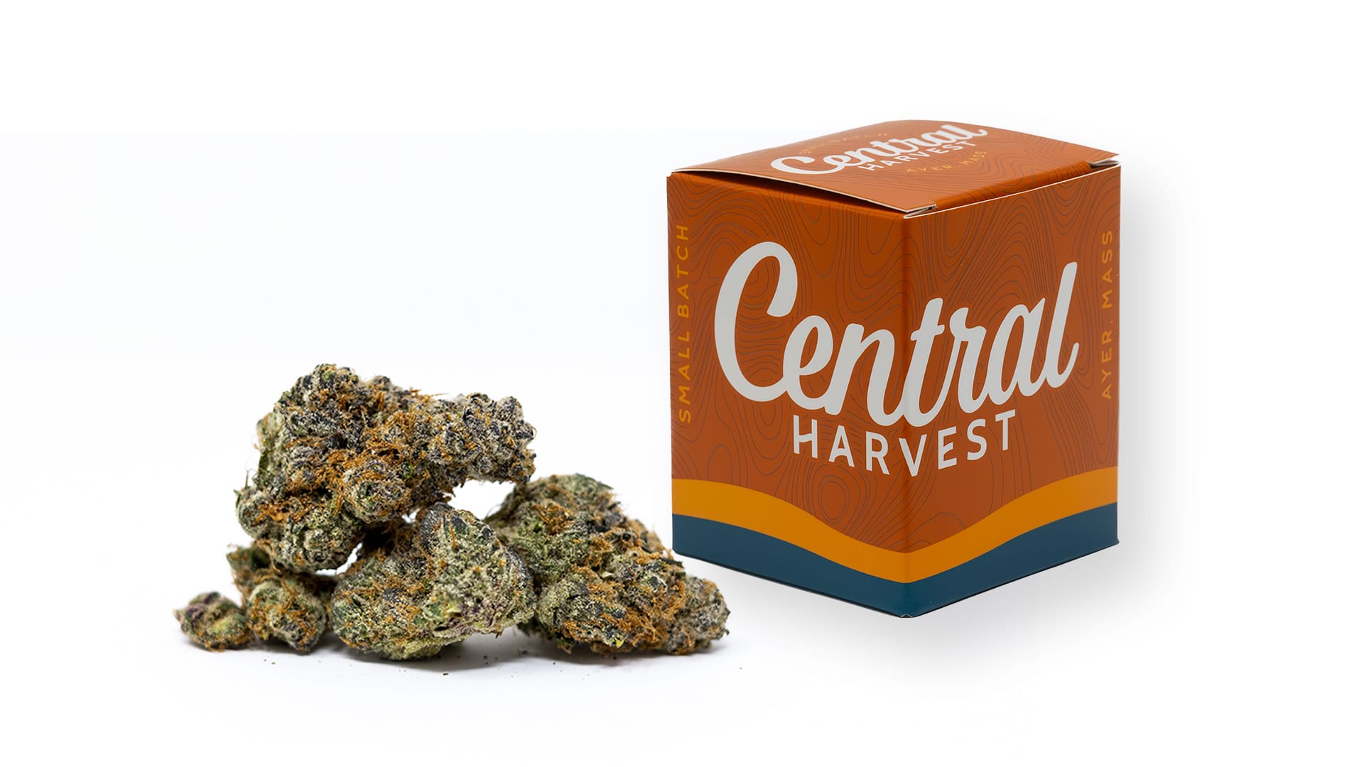 Tangerine Sin Mint is a Sativa Cannabis Strain grown by Central Harvest