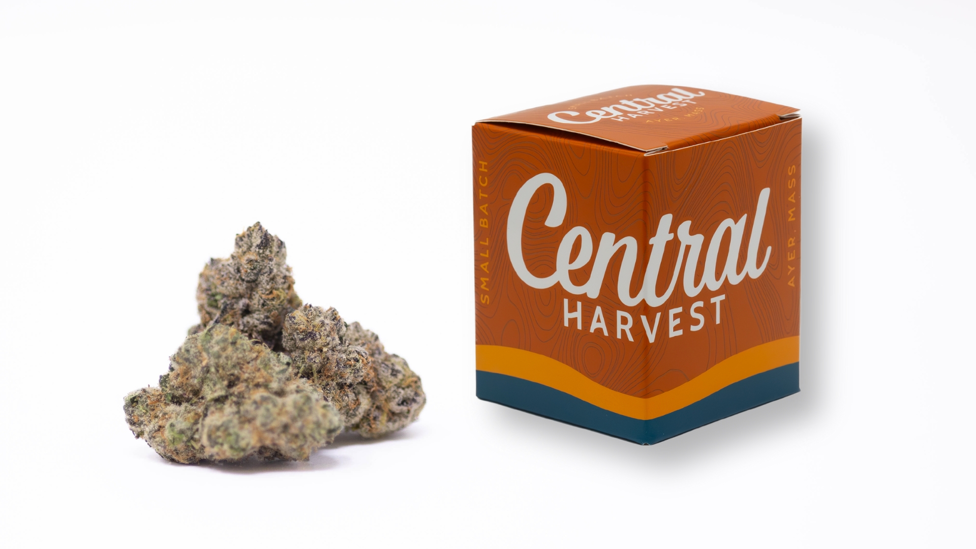Buckin' Runtz is a Indica Cannabis Strain grown and packaged at Central Harvest