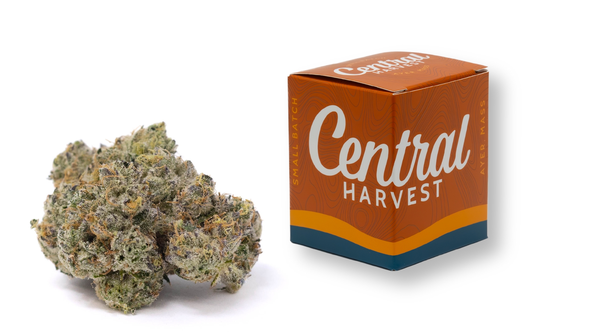 Buckin' Runtz is a indica Cannabis Strain grown and packaged at Central Harvest