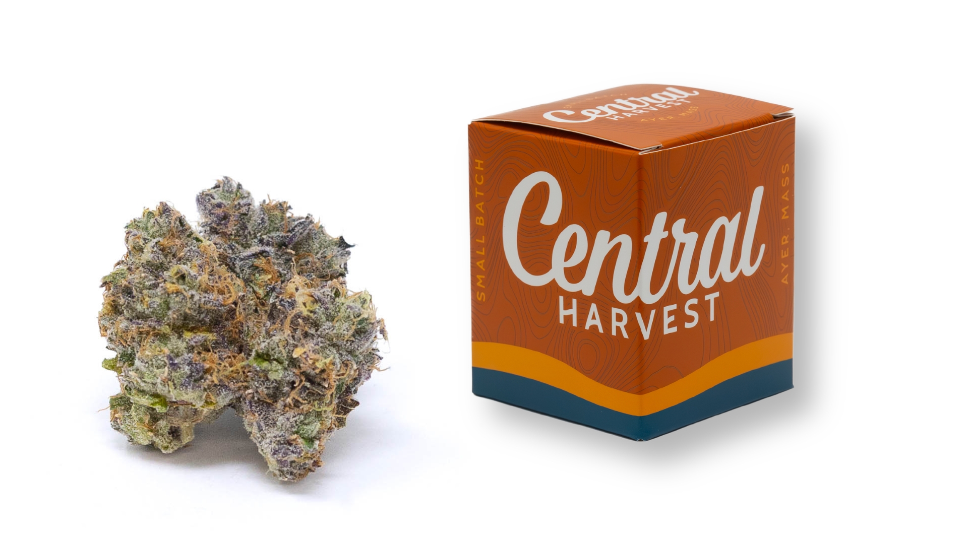 Buckin Runtz is a Indica Cannabis Strain grown and packaged at Central Harvest
