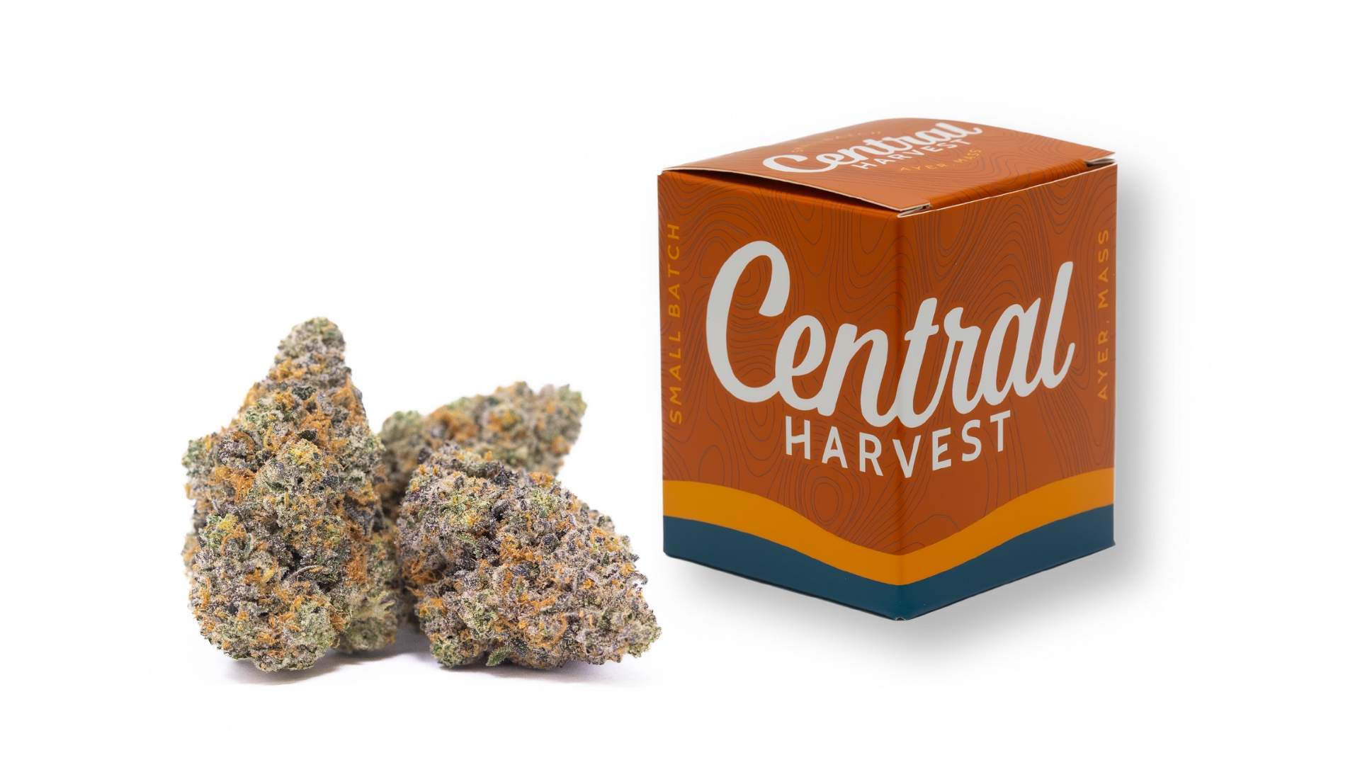 Goudaberry is a Hybrid Cannabis Strain grown and packaged at Central Harvest