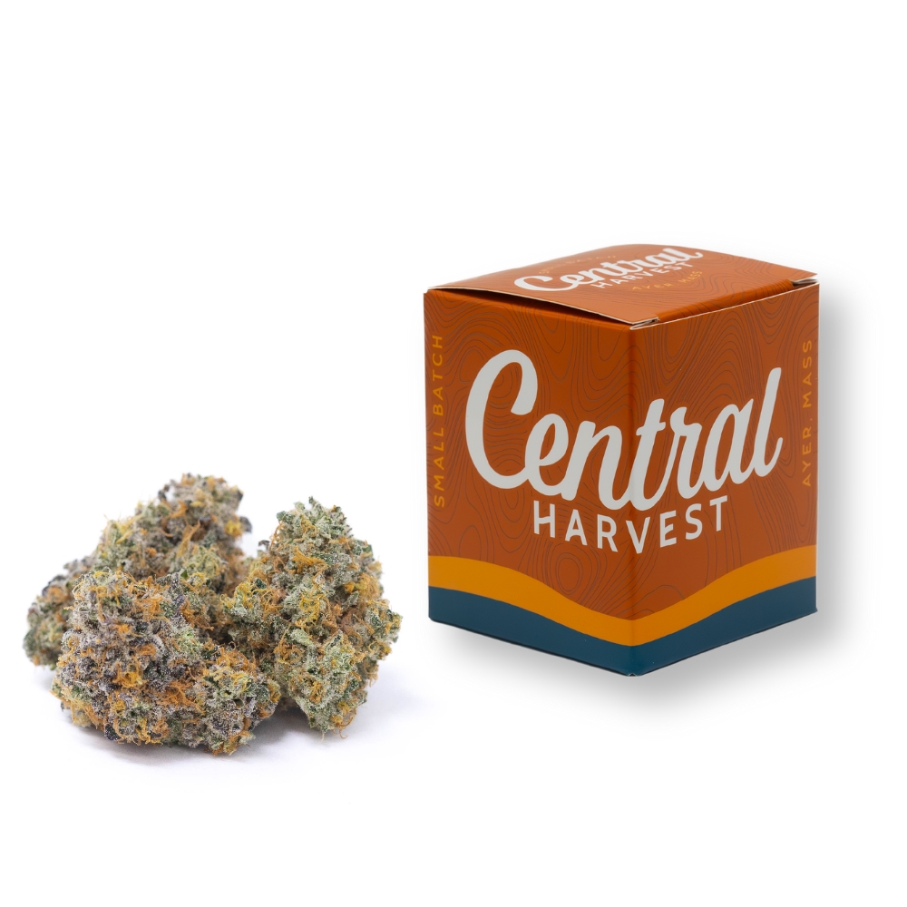 Goudaberry is a Hybrid Cannabis Strain grown and packaged at Central Harvest