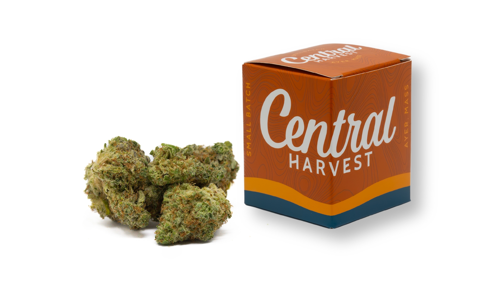 Citradelic Cookies is a High CBD Hybrid Cannabis strain grown by Central Harvest