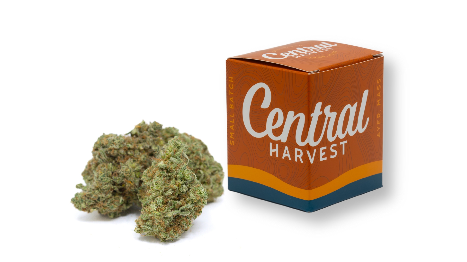 Citradelic Cookies is a Hybrid Cannabis Strain grown and packaged at Central Harvest