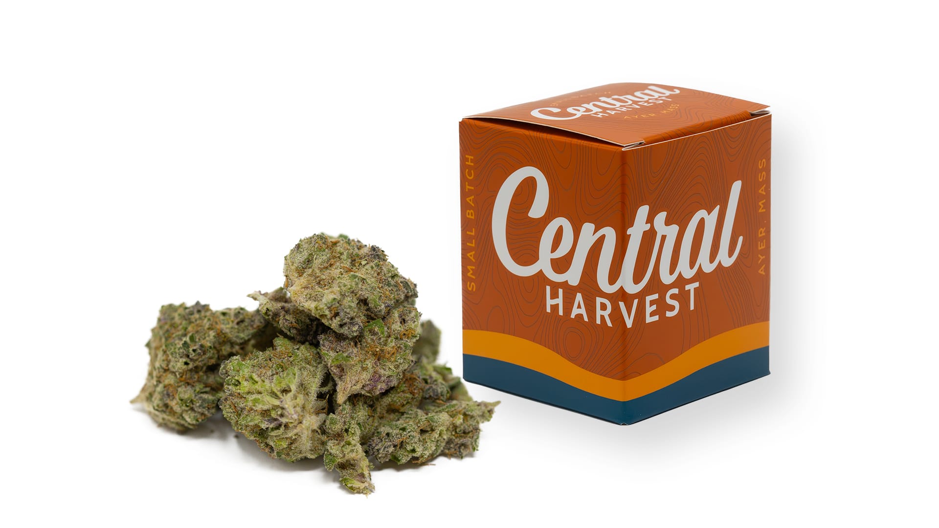 DCM Diesel is a Sativa Cannabis strain grown by Central Harvest