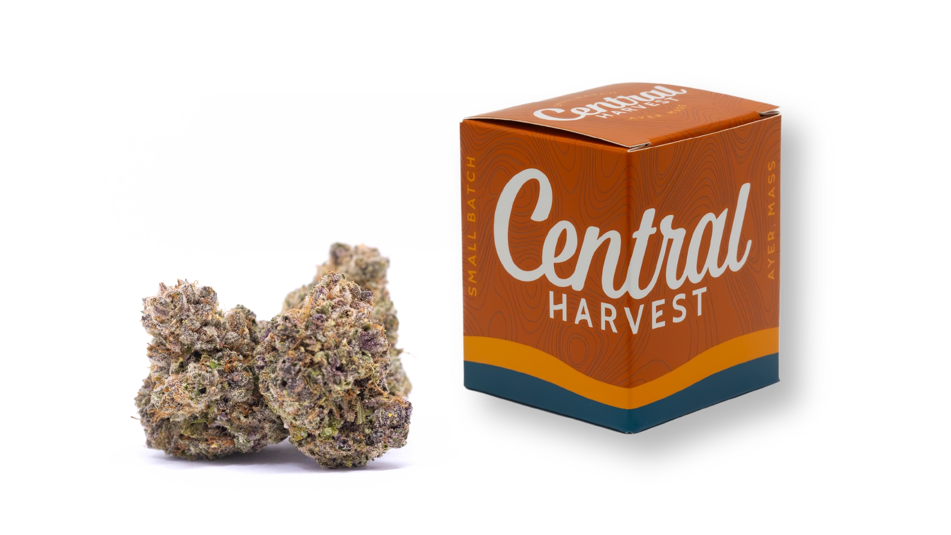 DCM Diesel is a Sativa Cannabis Strain grown and packaged at Central Harvest
