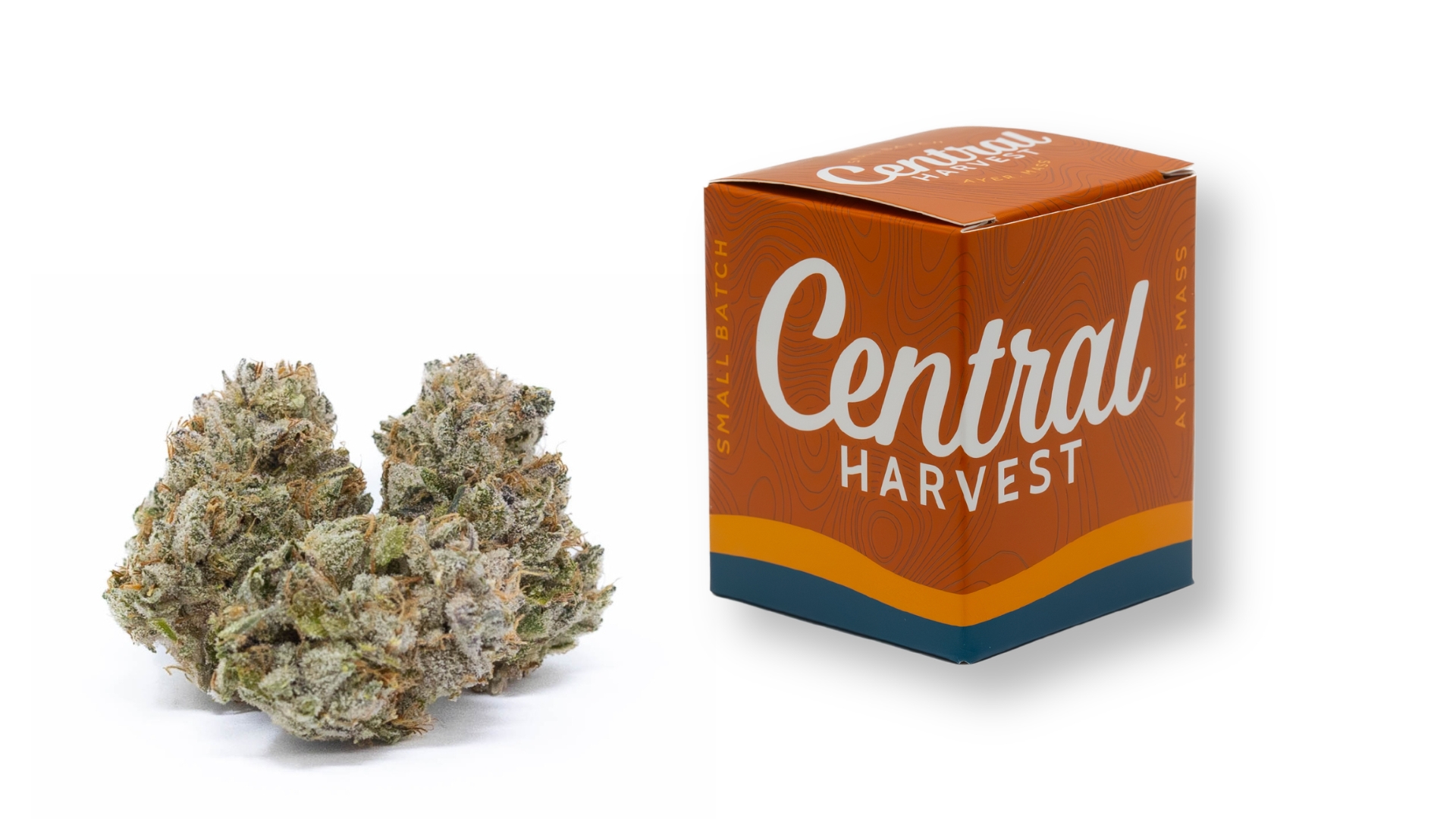 DCM Diesel is a Sativa Cannabis Strain grown and packaged at Central Harvest