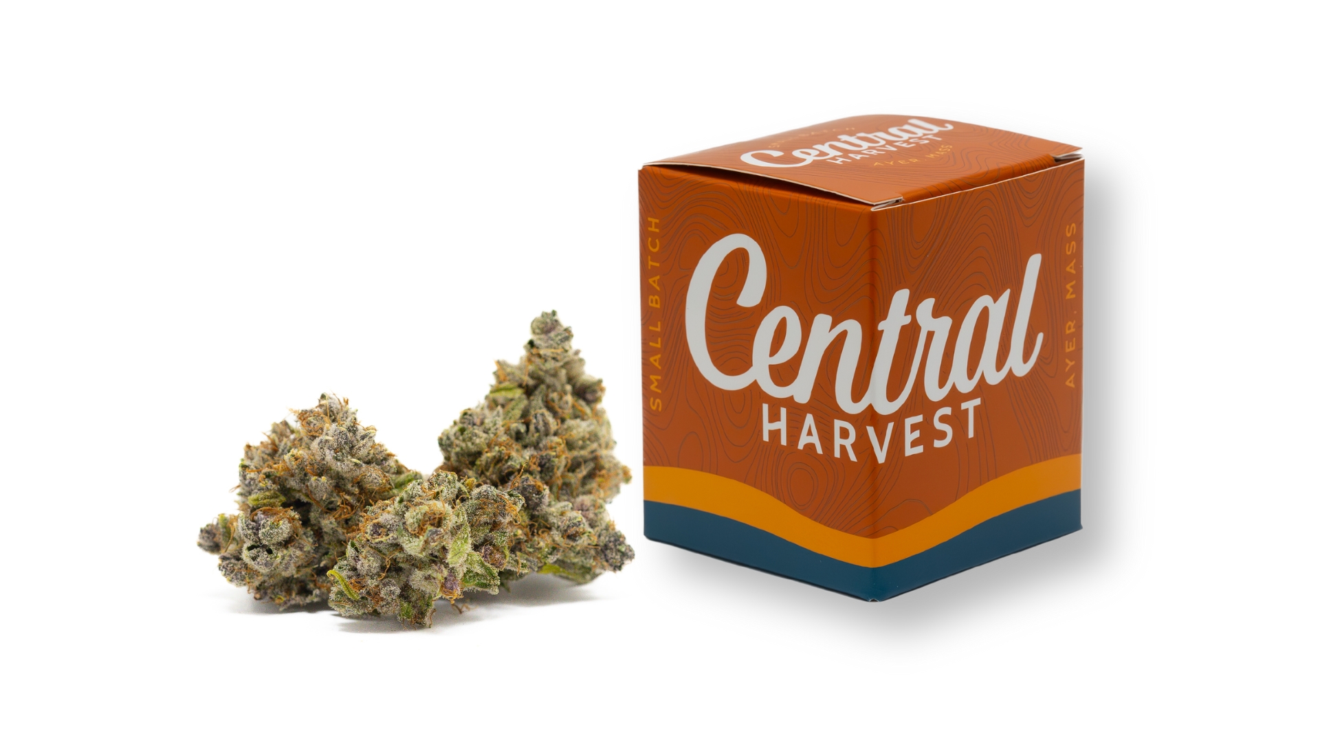 DCM Diesel is a Sativa Cannabis strain grown by Central Harvest