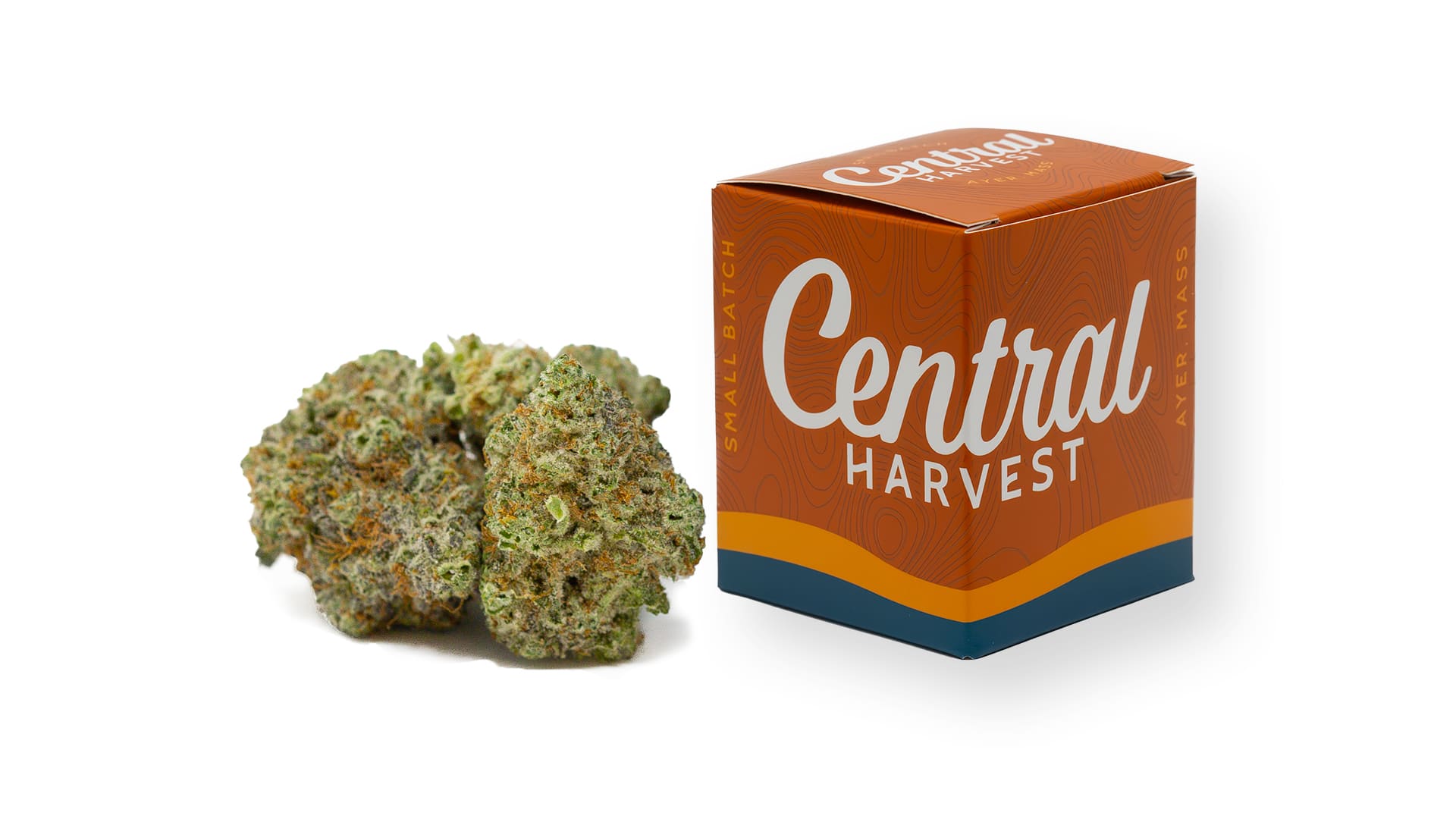 Don Carlos is a Hybrid Cannabis strain grown by Central Harvest