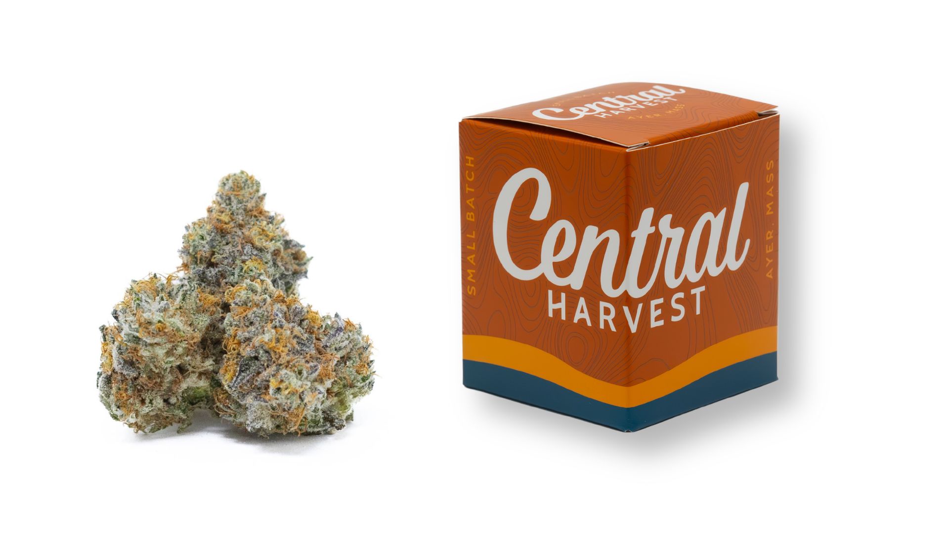 Don Carlos is a Hybrid Cannabis Strain grown and packaged at Central Harvest