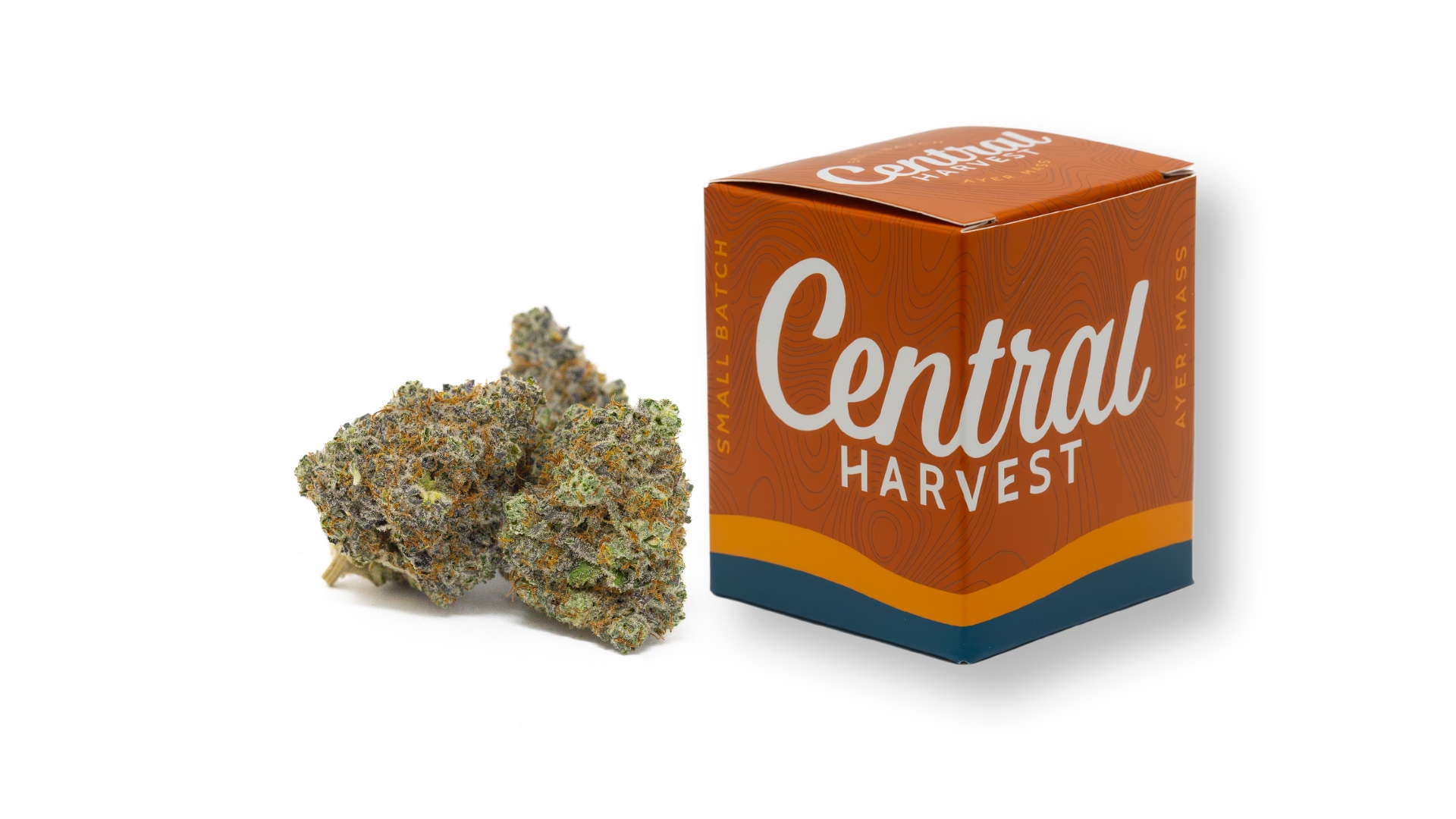 Don Carlos is a hybrid cannabis strain grown by Central Harvest