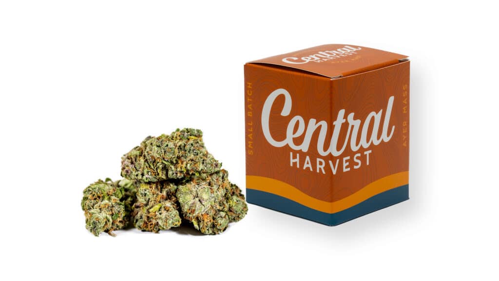 Durban Tropegranate is a Sativa Cannabis strain grown by Central Harvest