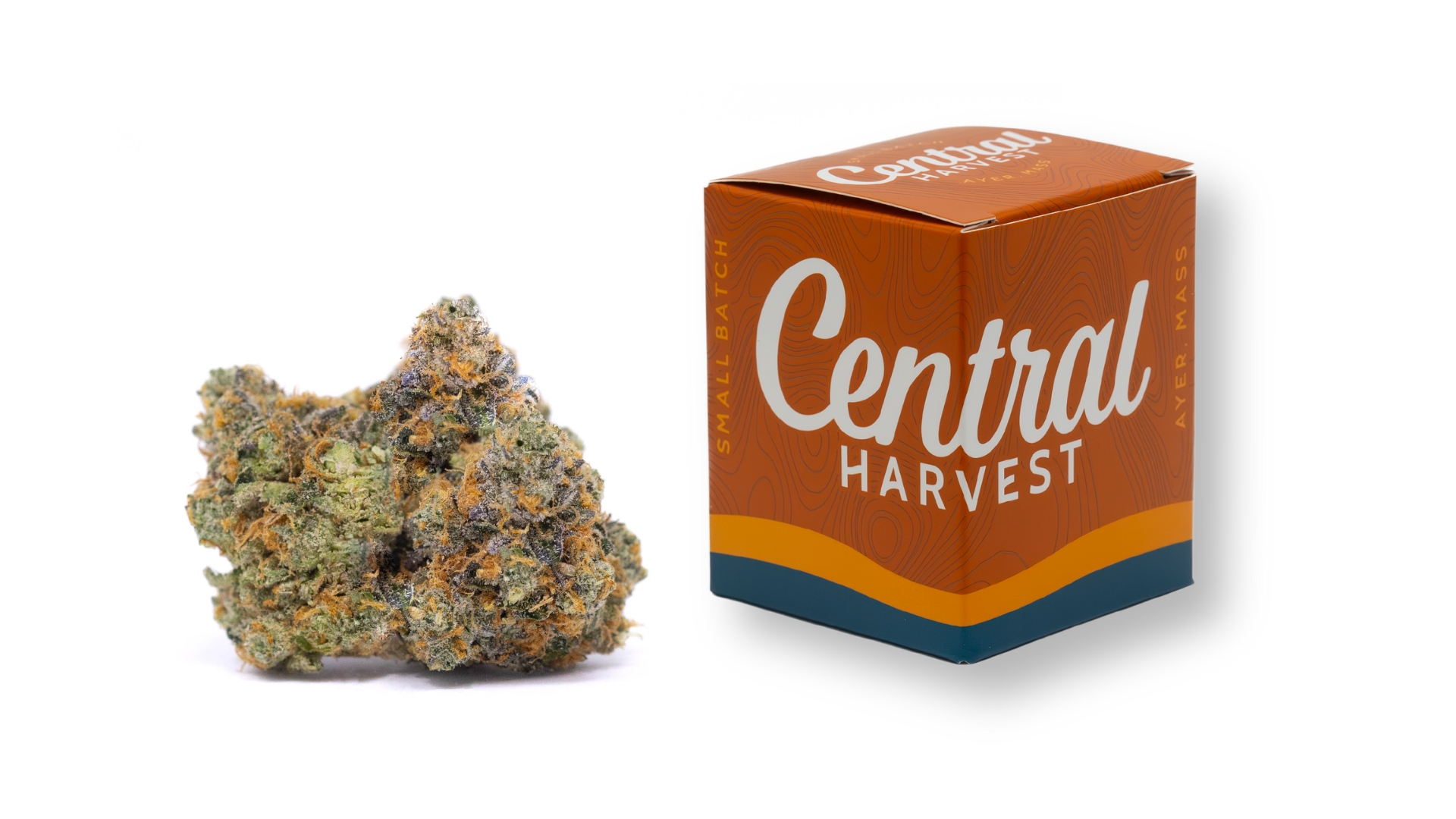 Falcon 9 is a Indica Cannabis Strain grown and packaged at Central Harvest