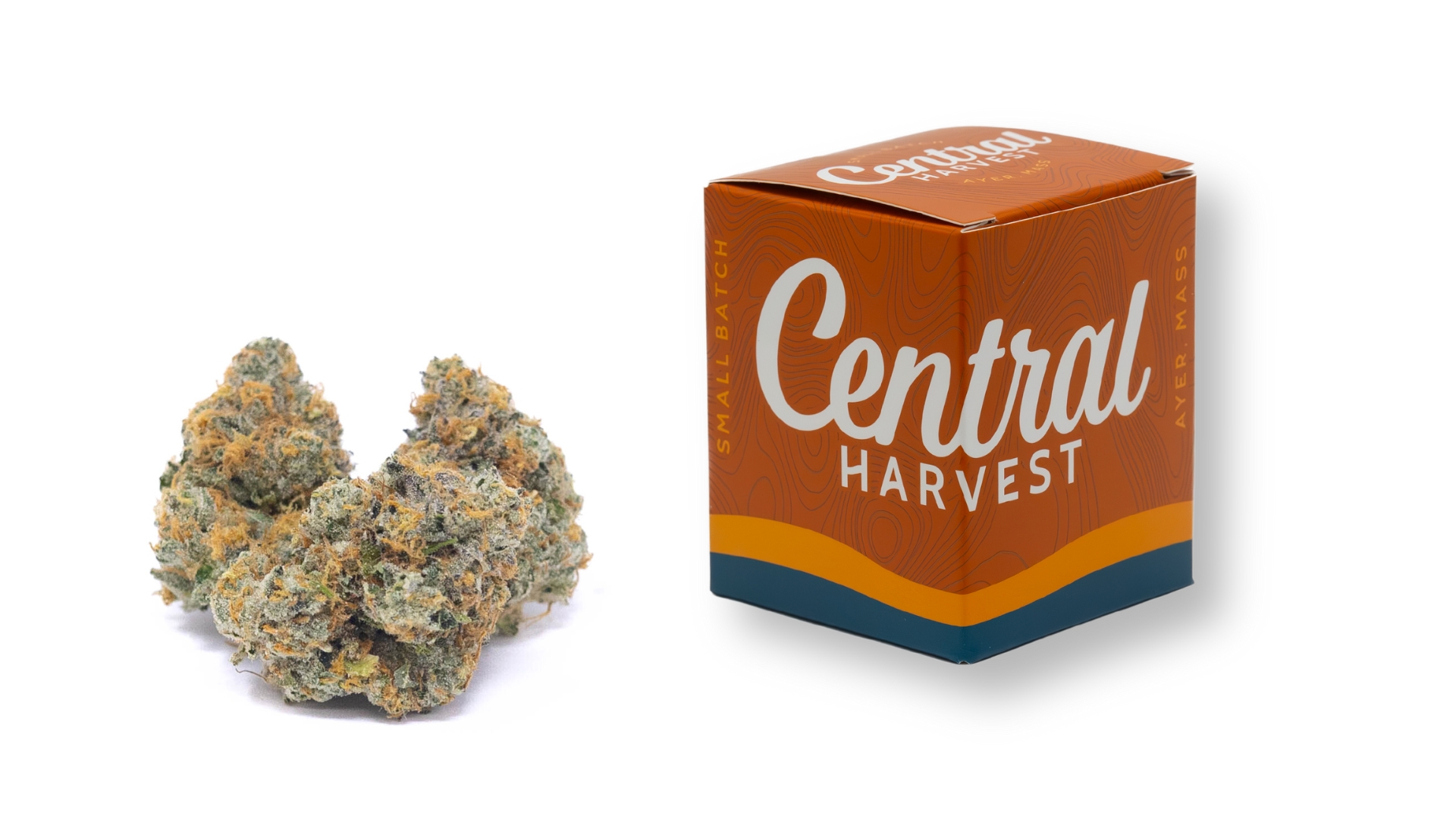 Falcon 9 is a Indica Cannabis Strain grown and packaged at Central Harvest