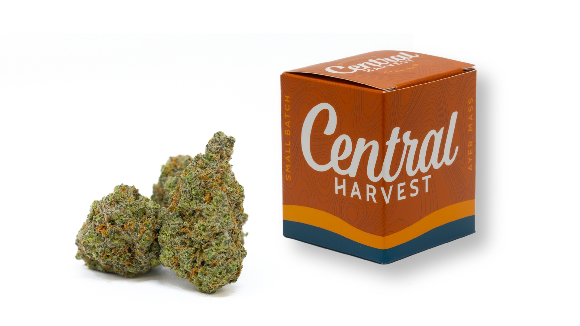 Gilz Nilz is a Hybrid Cannabis Strain grown and packaged at Central Harvest