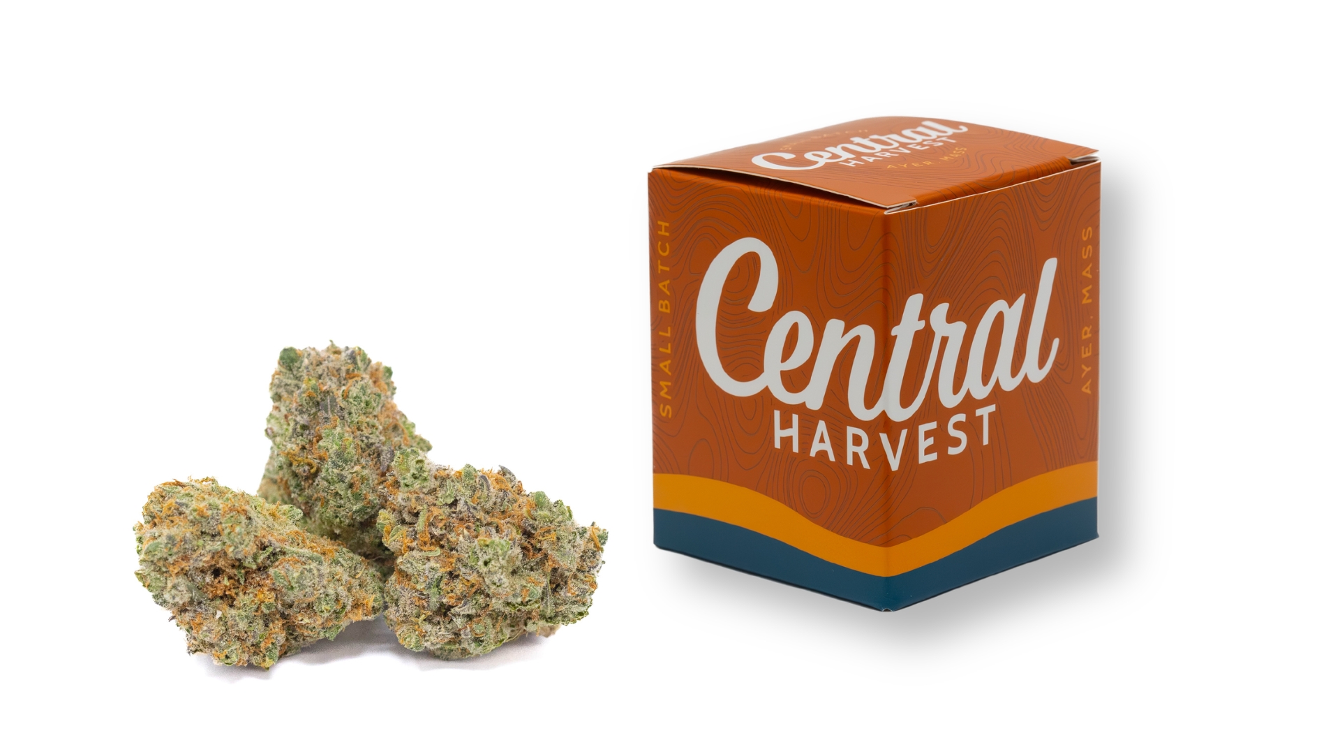 Gilz Nilz is a Hybrid Cannabis Strain grown and packaged at Central Harvest