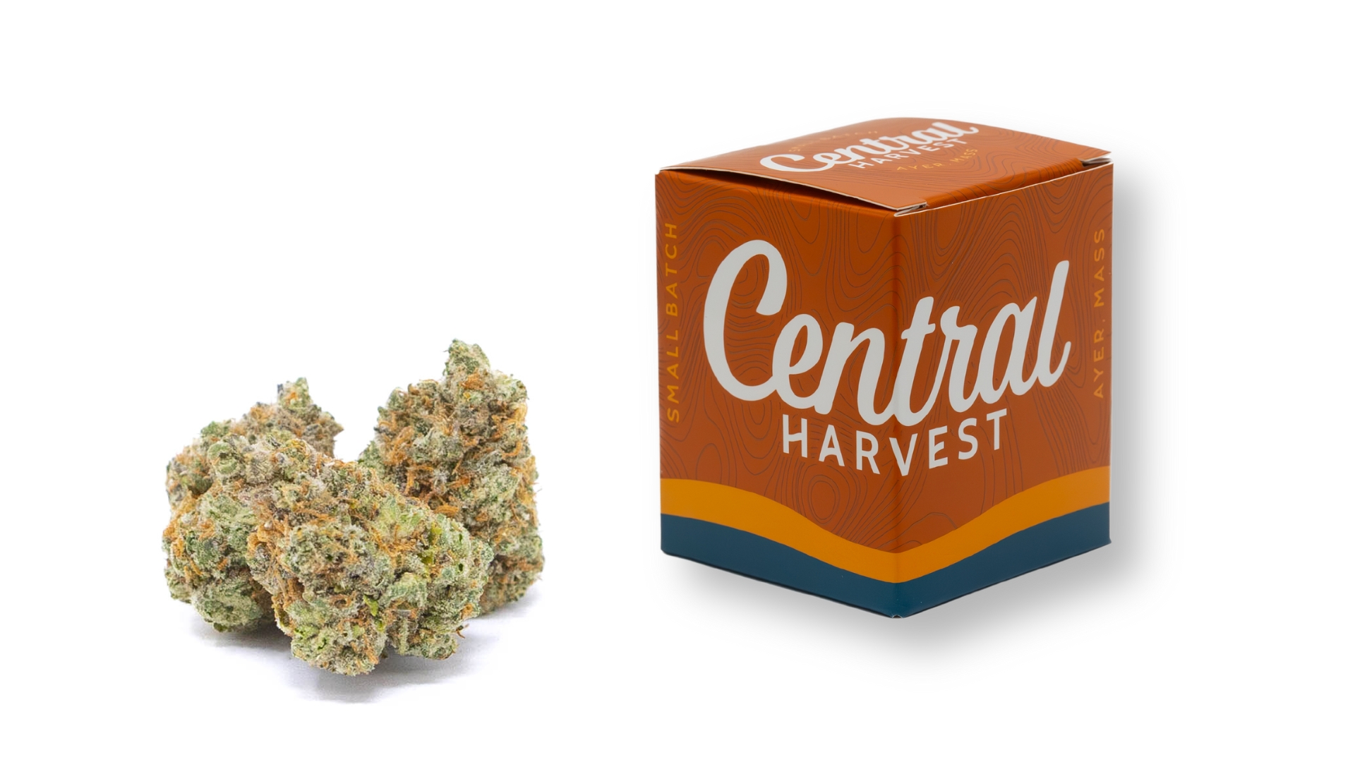 Gilz Nilz is a Hybrid Cannabis Strain grown and packaged at Central Harvest