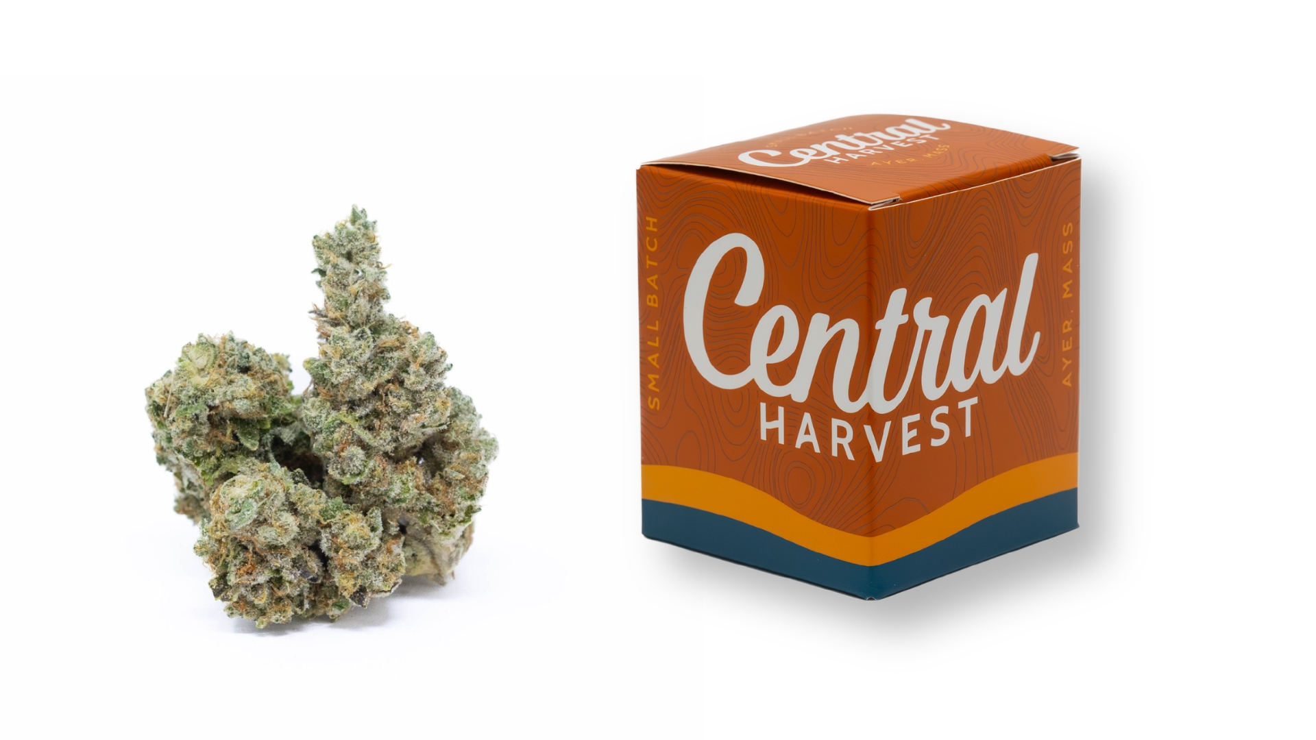 Matterhorn is a Sativa Cannabis Strain grown and packaged at Central Harvest