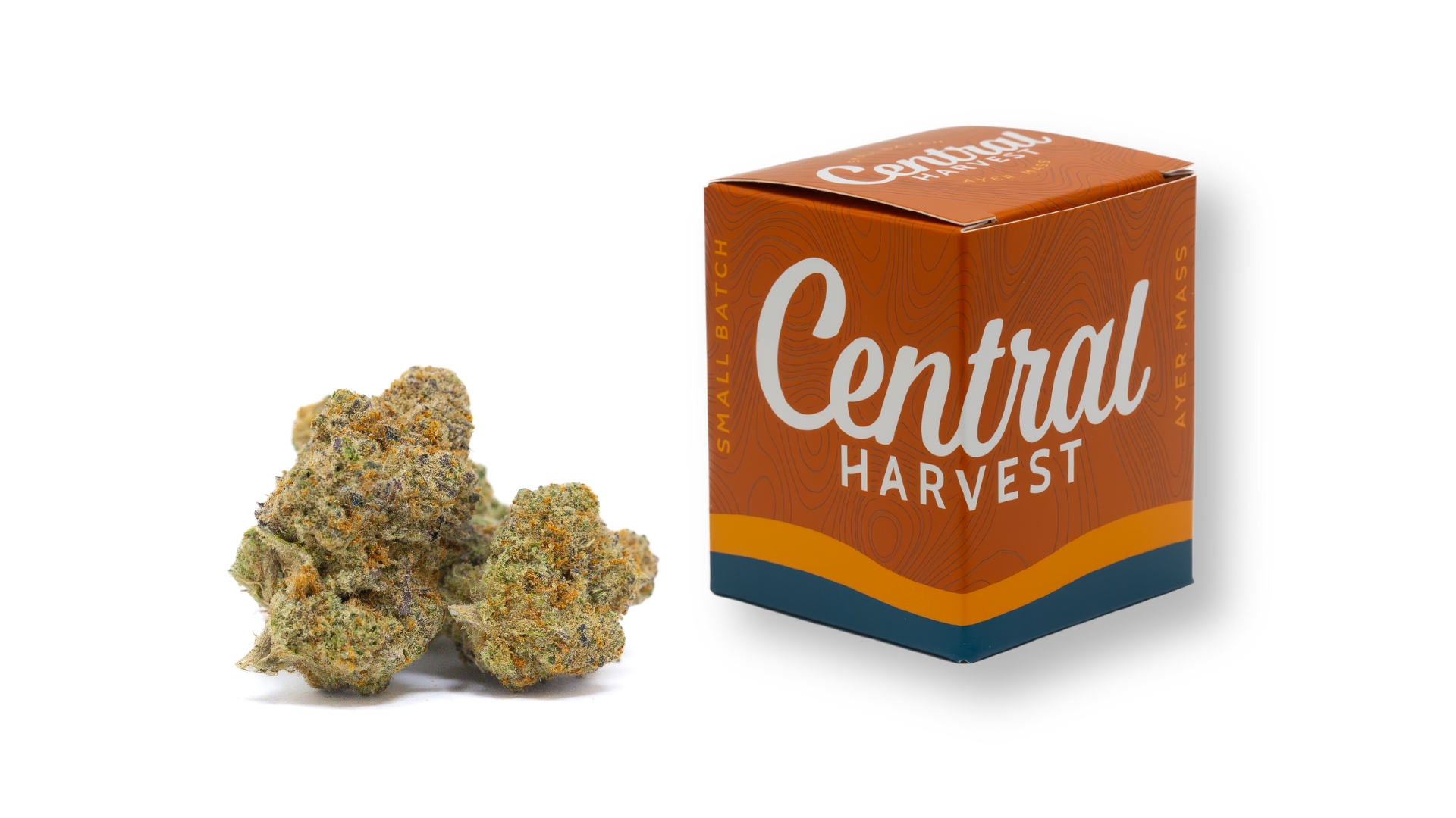 Mike's Strawberry Lemonade is a Hybrid Cannabis Strain grown and packaged at Central Harvest