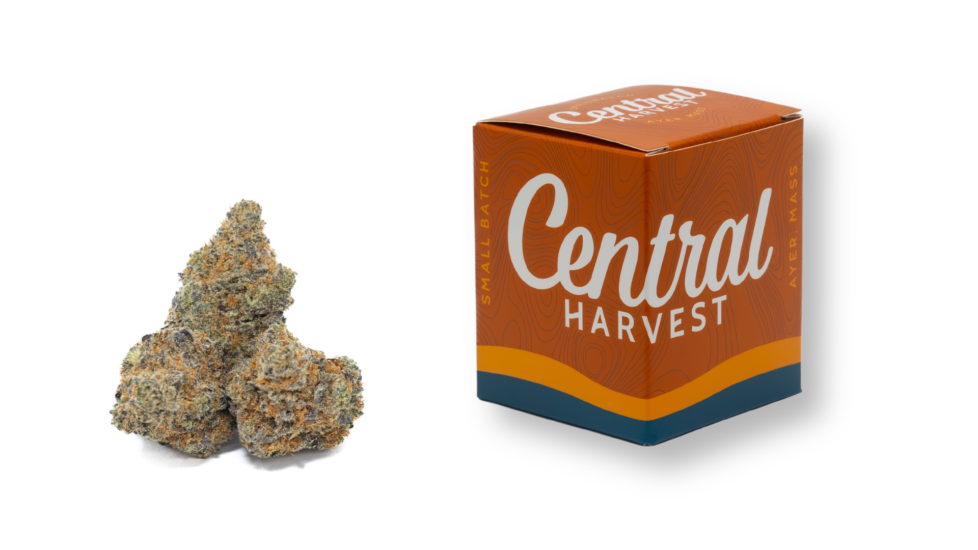 Mont Blanc is a Sativa Cannabis Strain grown and packaged at Central Harvest