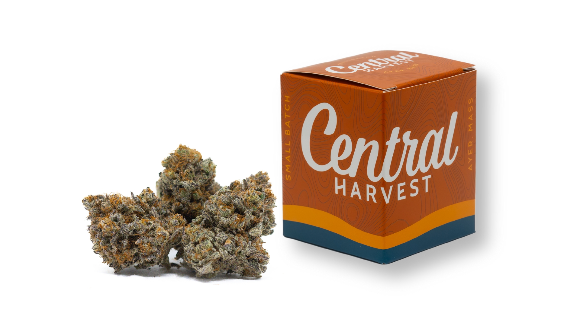 Mont Blanc is a Sativa Cannabis Strain grown and packaged at Central Harvest