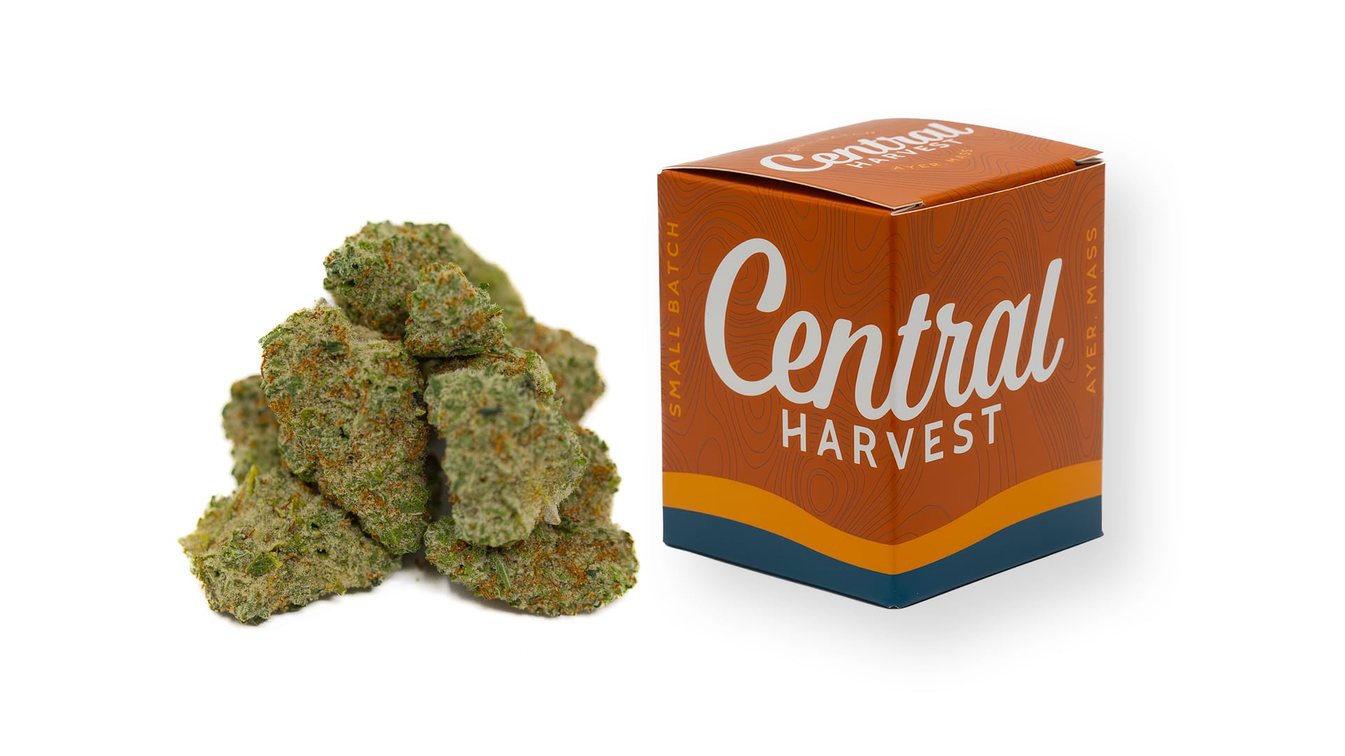 Morockin' Kush is an Indica Cannabis Strain grown and packaged at Central Harvest