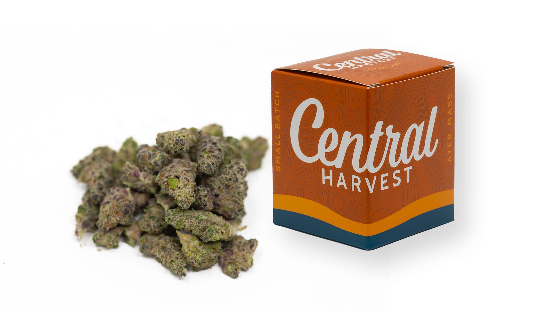 Pistachio is a Hybrid Cannabis Strain grown at Central Harvest