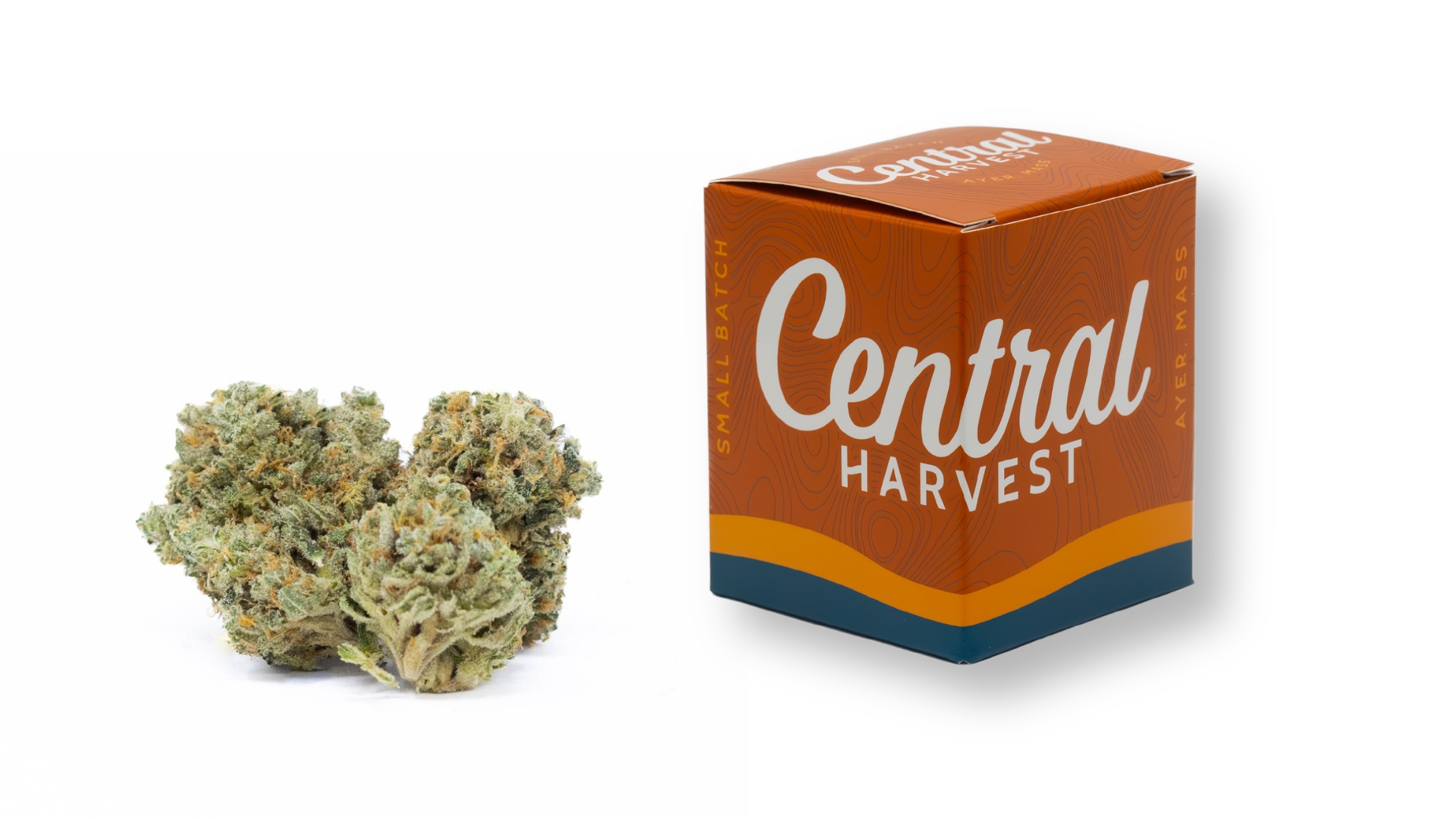 SIS-DMV is a Indica Cannabis Strain grown and packaged at Central Harvest
