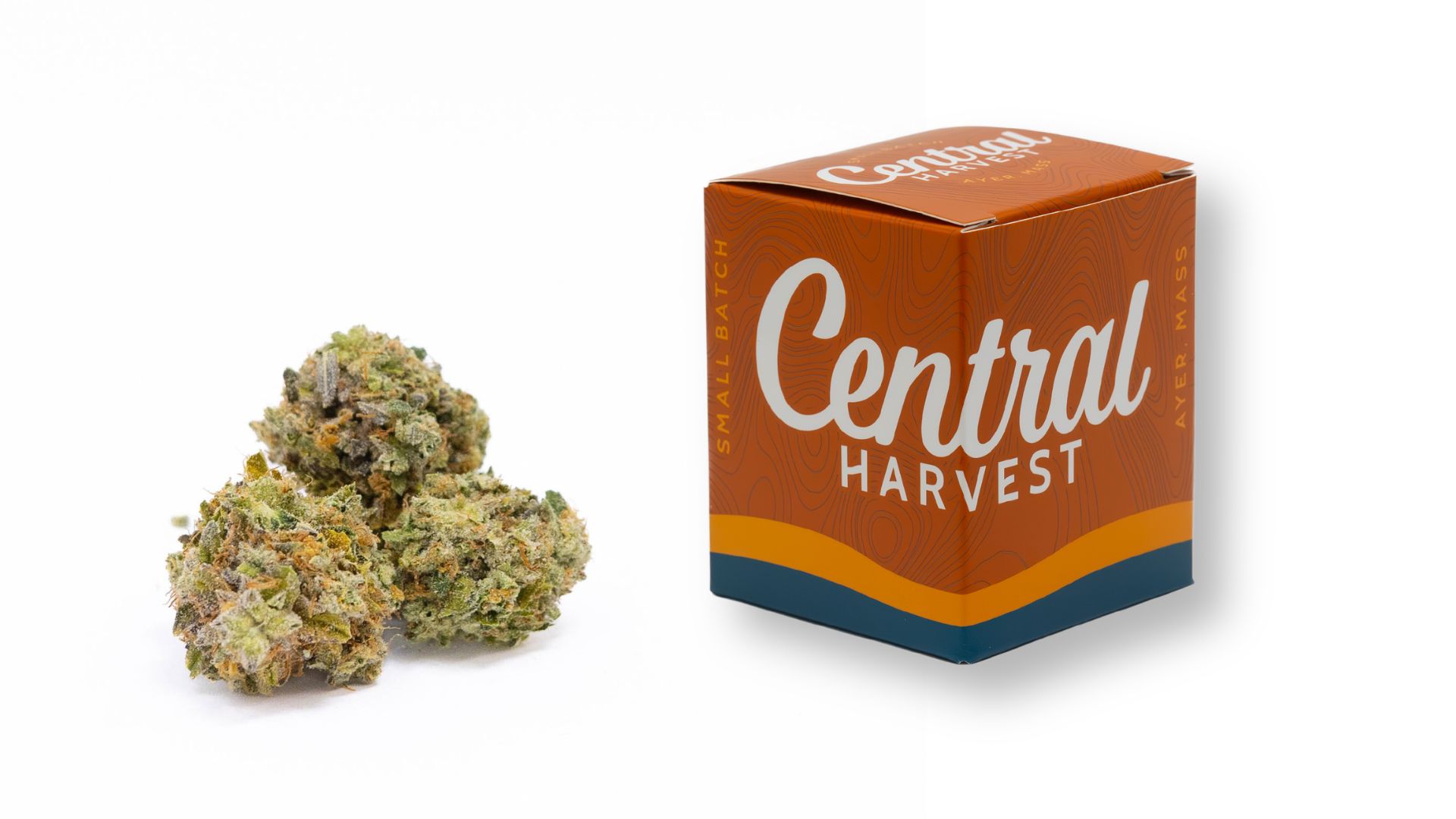 SIS-DMV is a Indica Cannabis Strain grown and packaged at Central Harvest