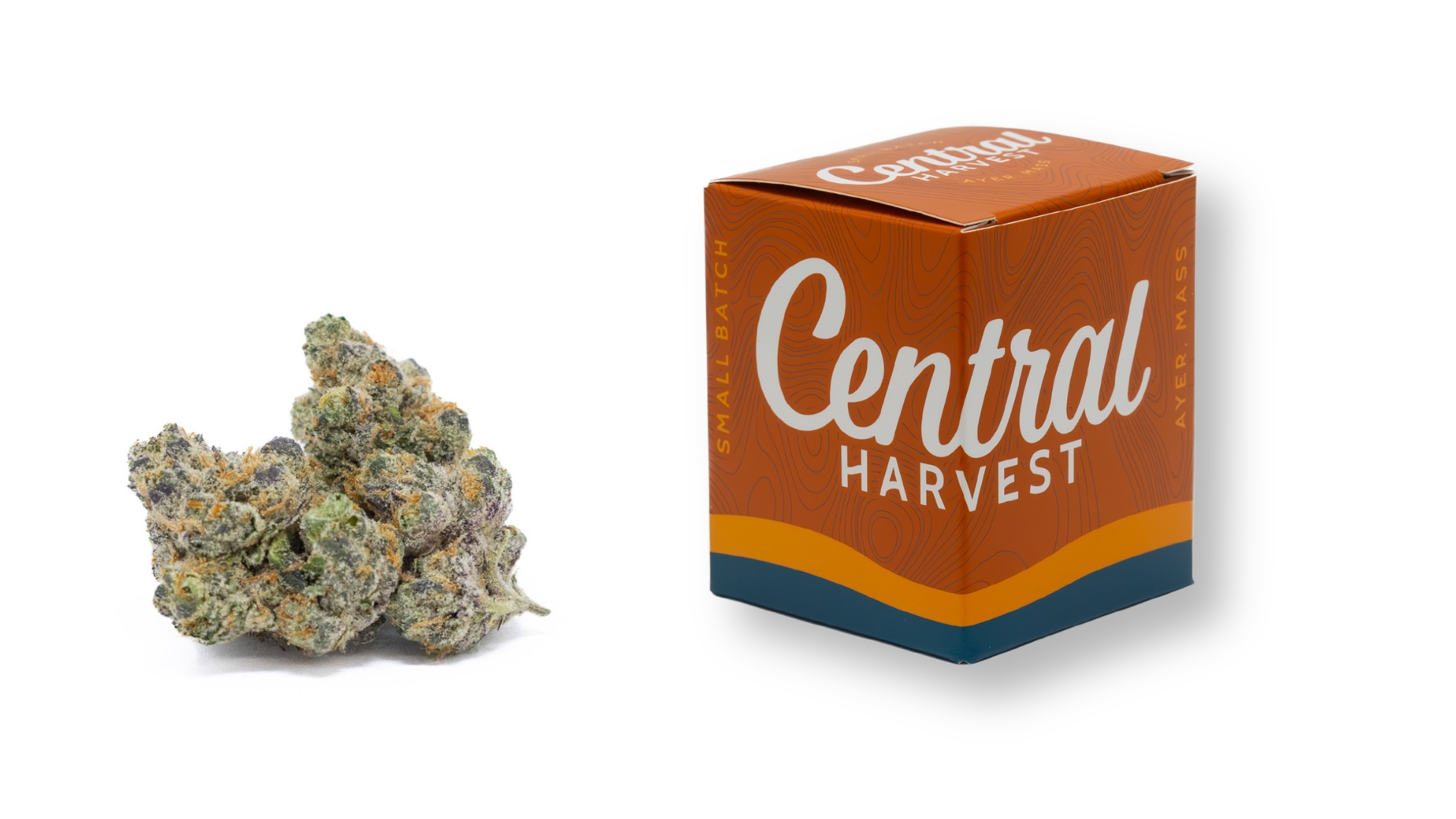 Sour Fritter is a Sativa Cannabis Strain grown and packaged at Central Harvest