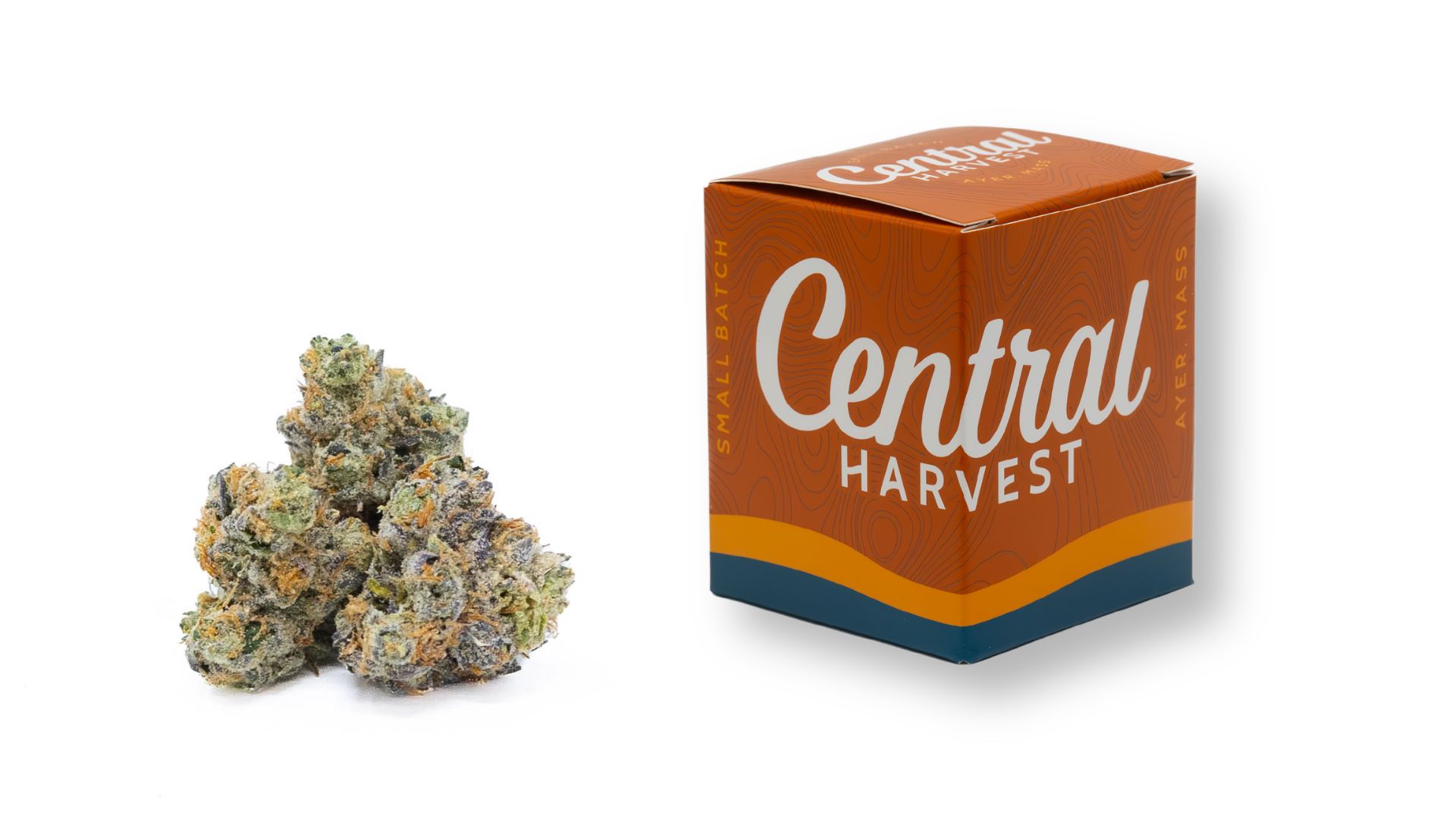 Sour Fritter is a Sativa Cannabis Strain grown and packaged at Central Harvest
