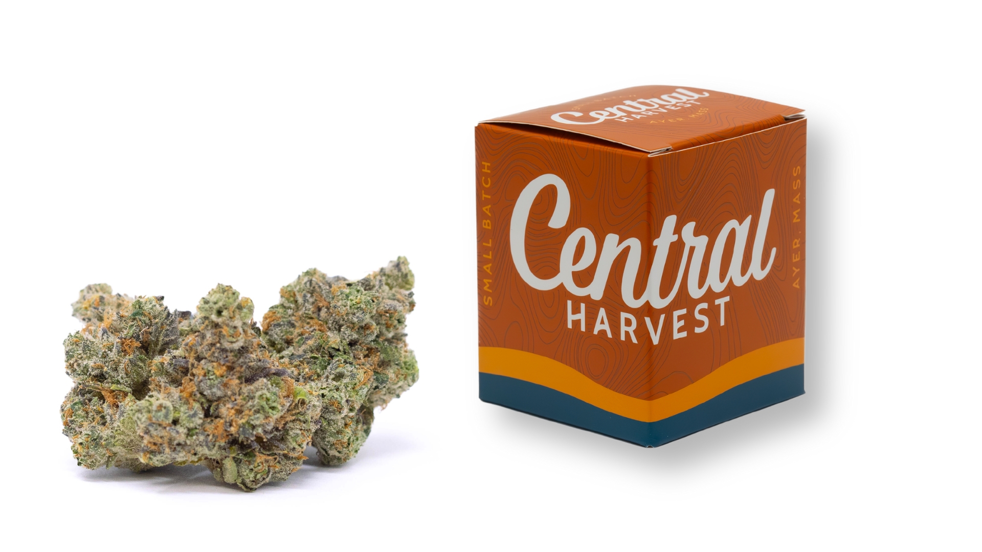 Sour Fritter is a Sativa Cannabis Strain grown and packaged at Central Harvest