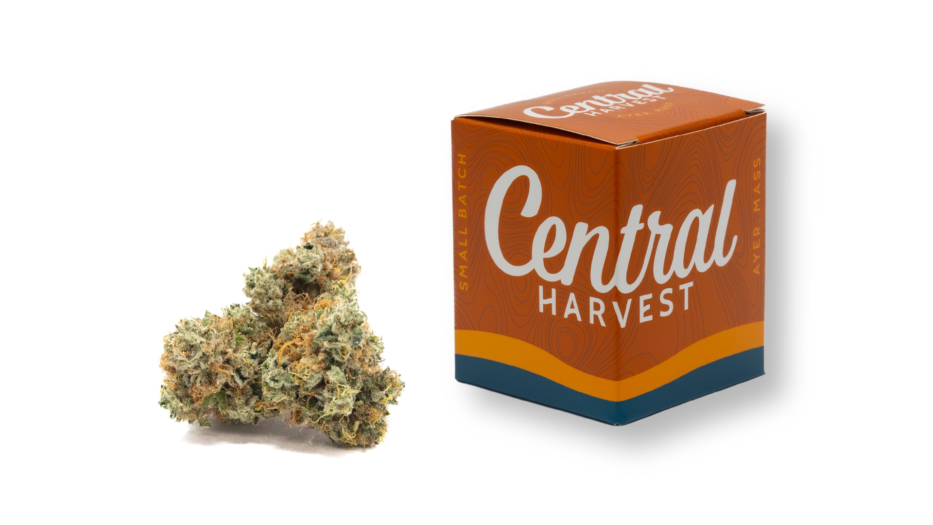 South Park Chem is an Indica Cannabis Strain grown and packaged at Central Harvest