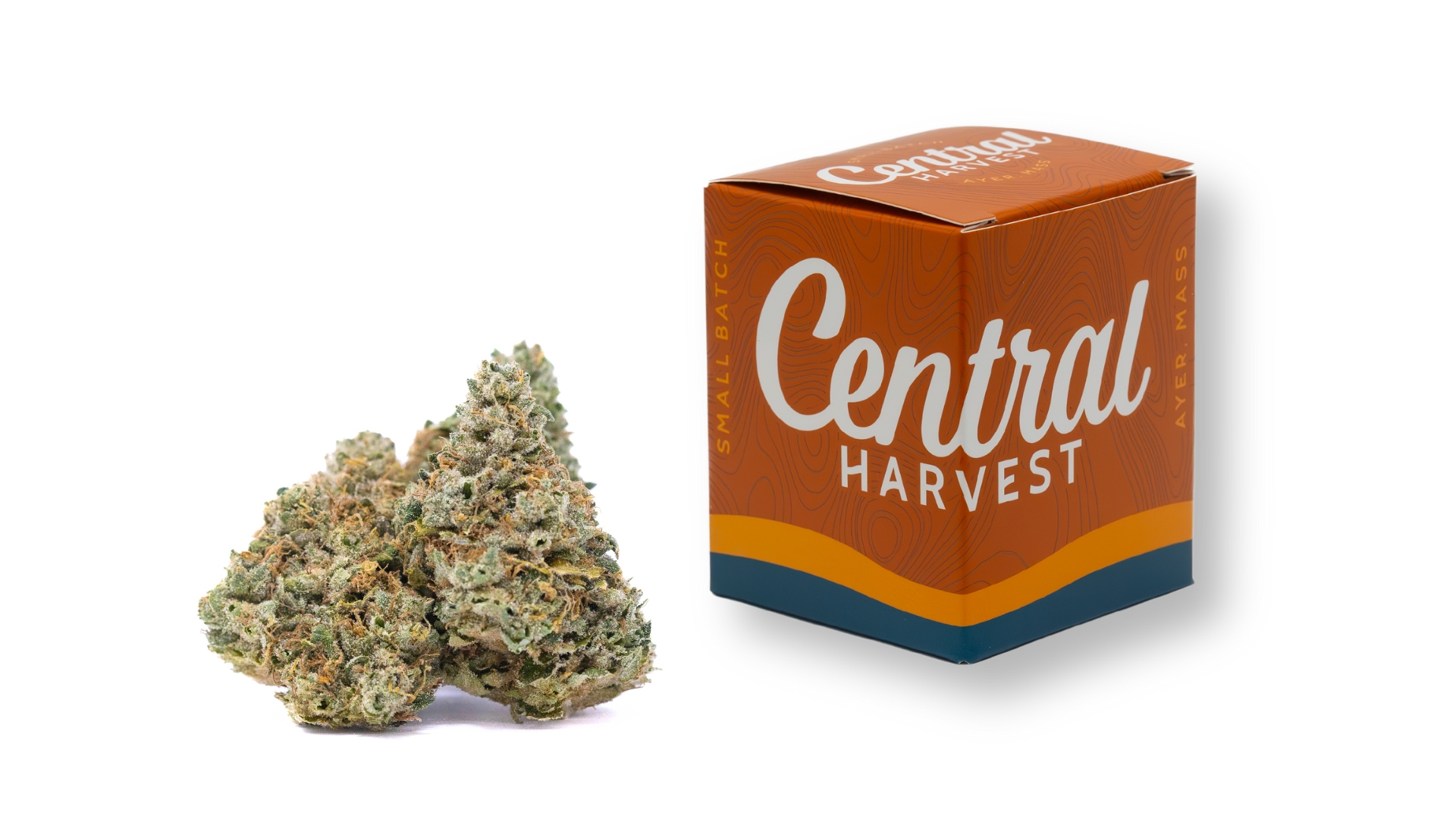 South Park Chem is a Indica Cannabis Strain grown and packaged at Central Harvest