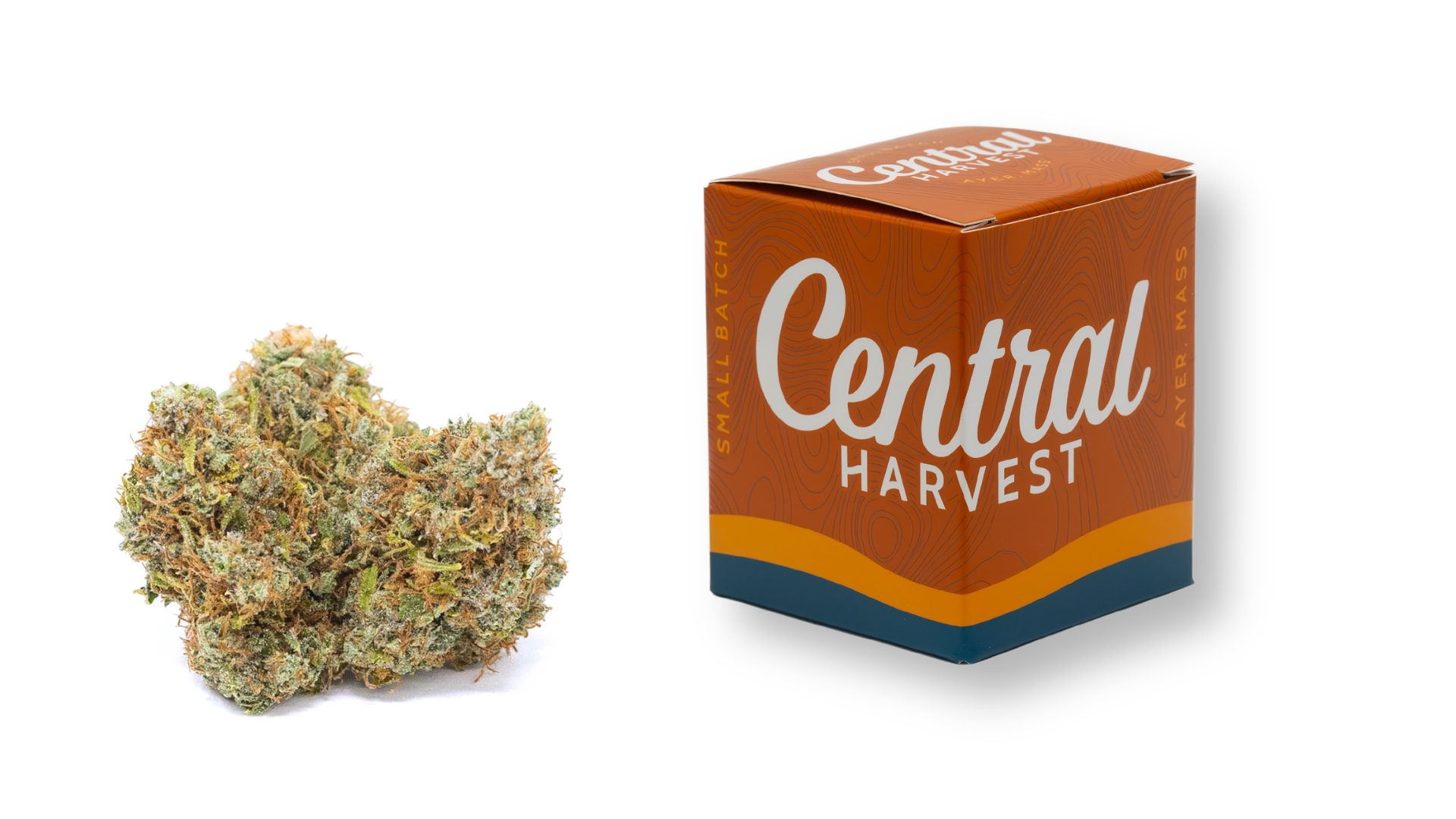 Super Silver Star is a Sativa Cannabis Strain grown and packaged at Central Harvest