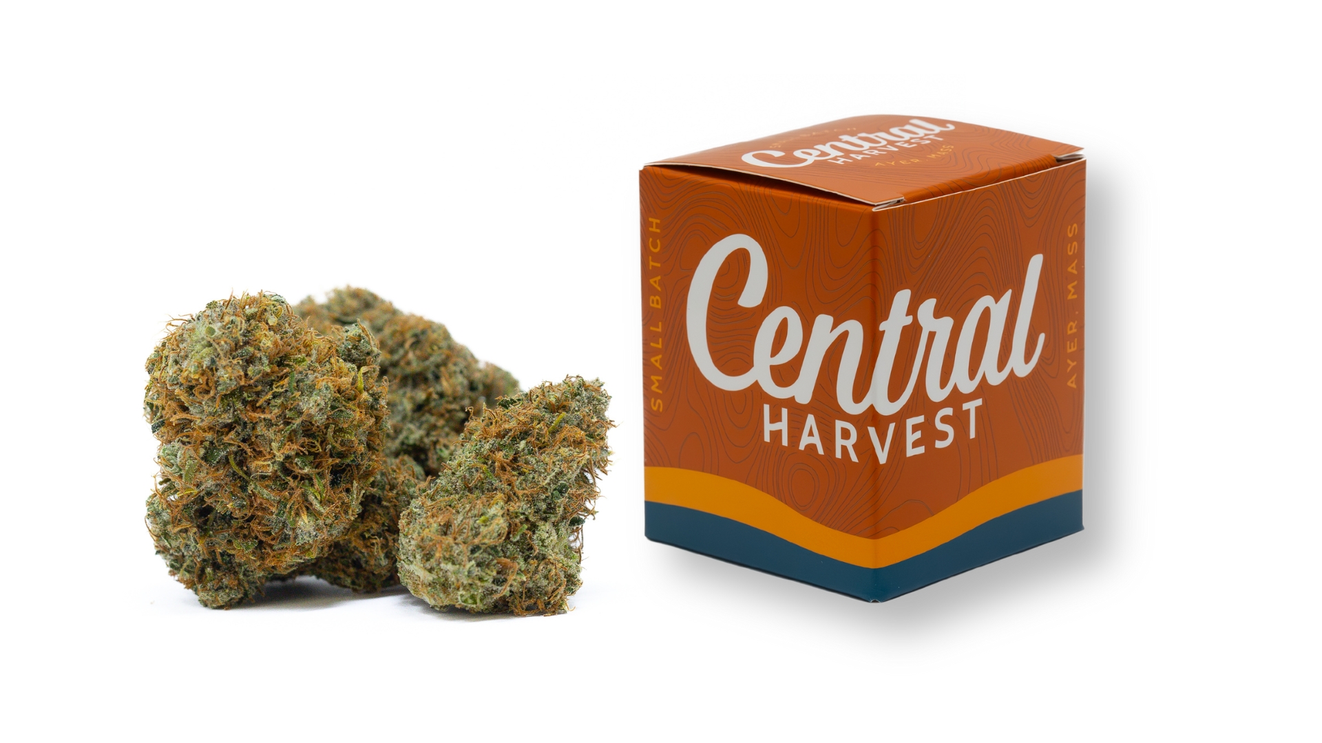 Super Silver Star is a Sativa Cannabis Strain grown and packaged at Central Harvest