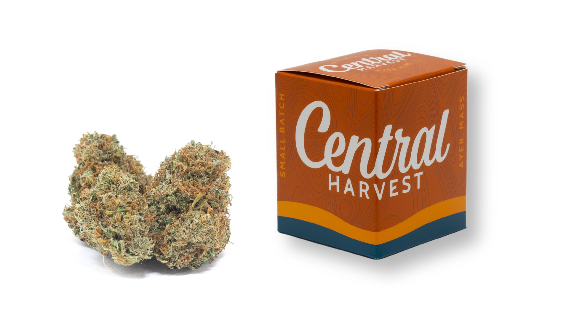 Super Silver Star is a Sativa Cannabis Strain grown and packaged at Central Harvest