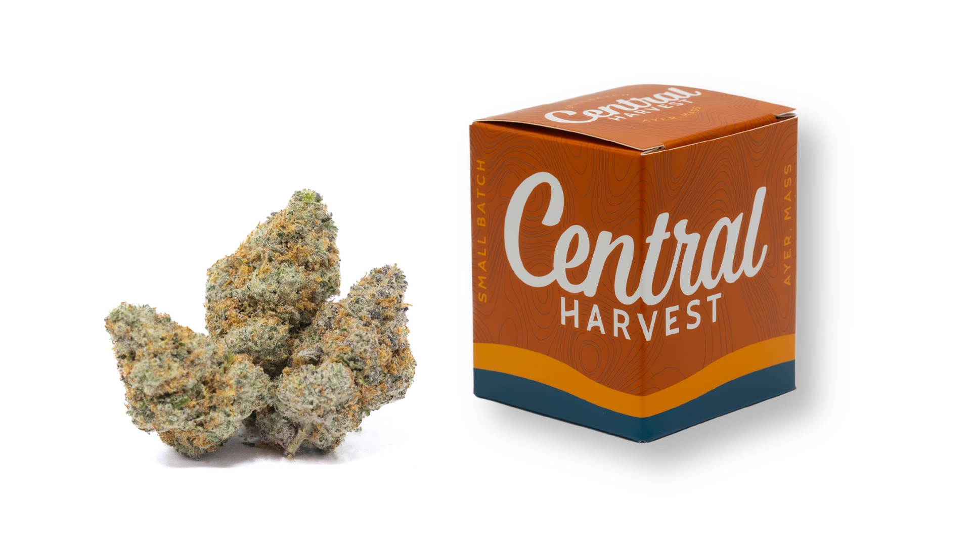 Tickle Burger is a Indica Cannabis Strain grown and packaged at Central Harvest