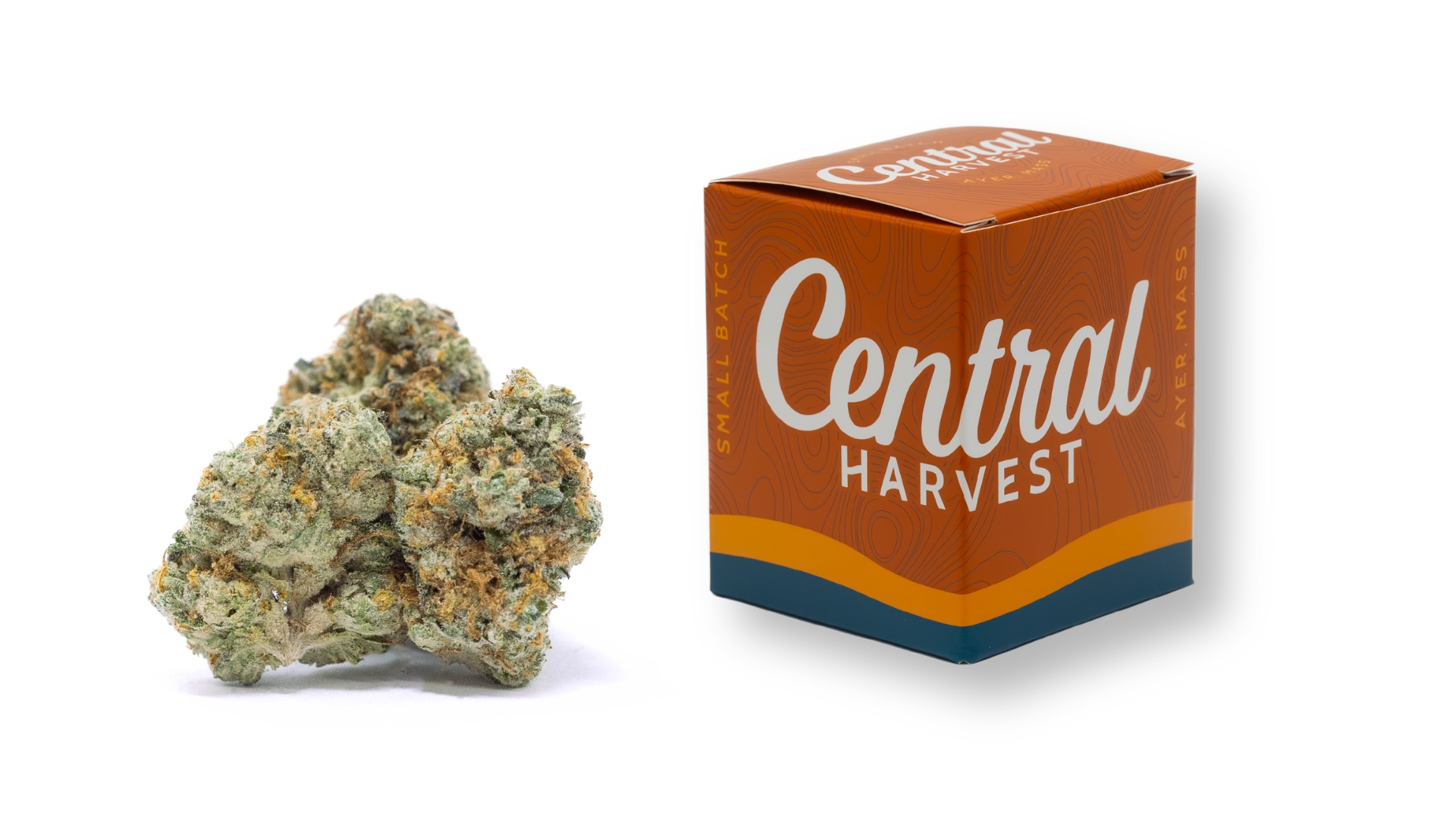 Tickle Burger is an Indica Cannabis Strain grown and packaged at Central Harvest