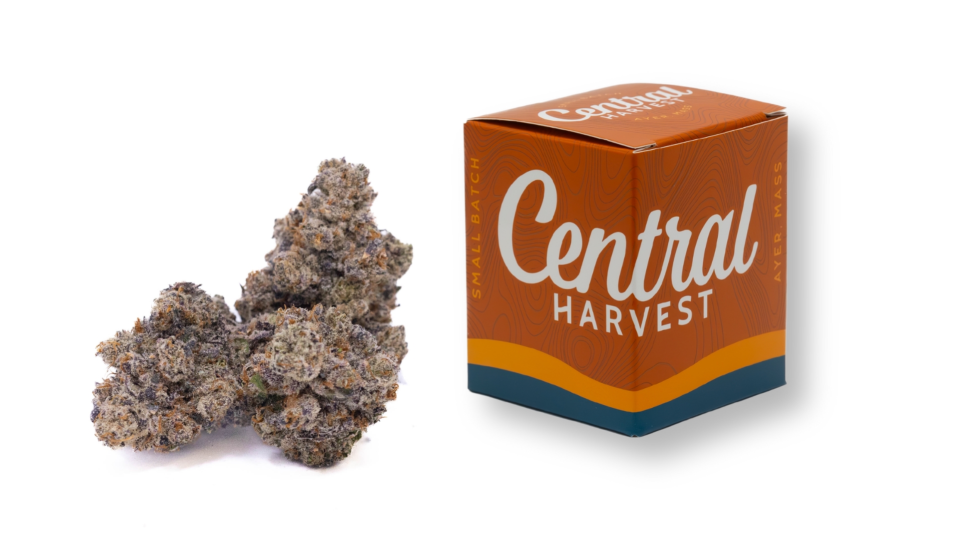Too Cool is a Hybrid Cannabis Strain grown and packaged at Central Harvest
