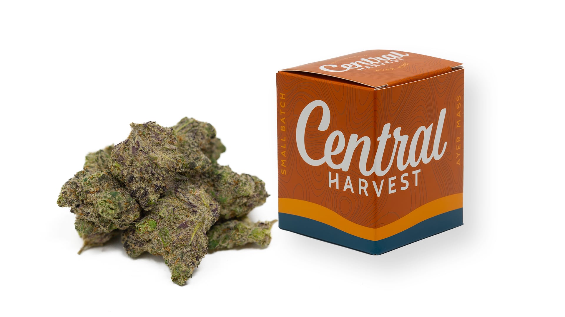 Too Cool is a Hybrid Cannabis Strain grown at Central Harvest