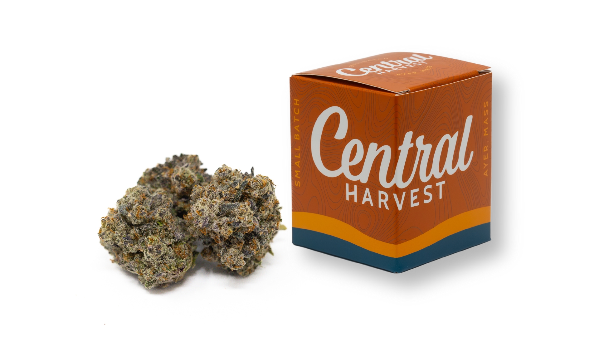 Too Cool is a Hybrid cannabis strain grown by Central Harvest