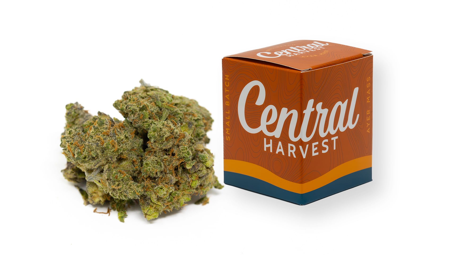 Zkittlez is an Indica Cannabis Strain grown at Central Harvest