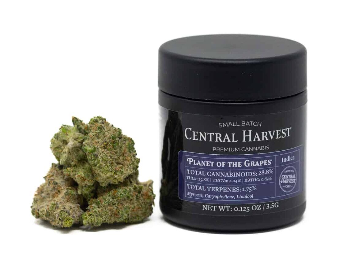 Planet of the Grapes Indica Cannabis Strain grown at Central Harvest