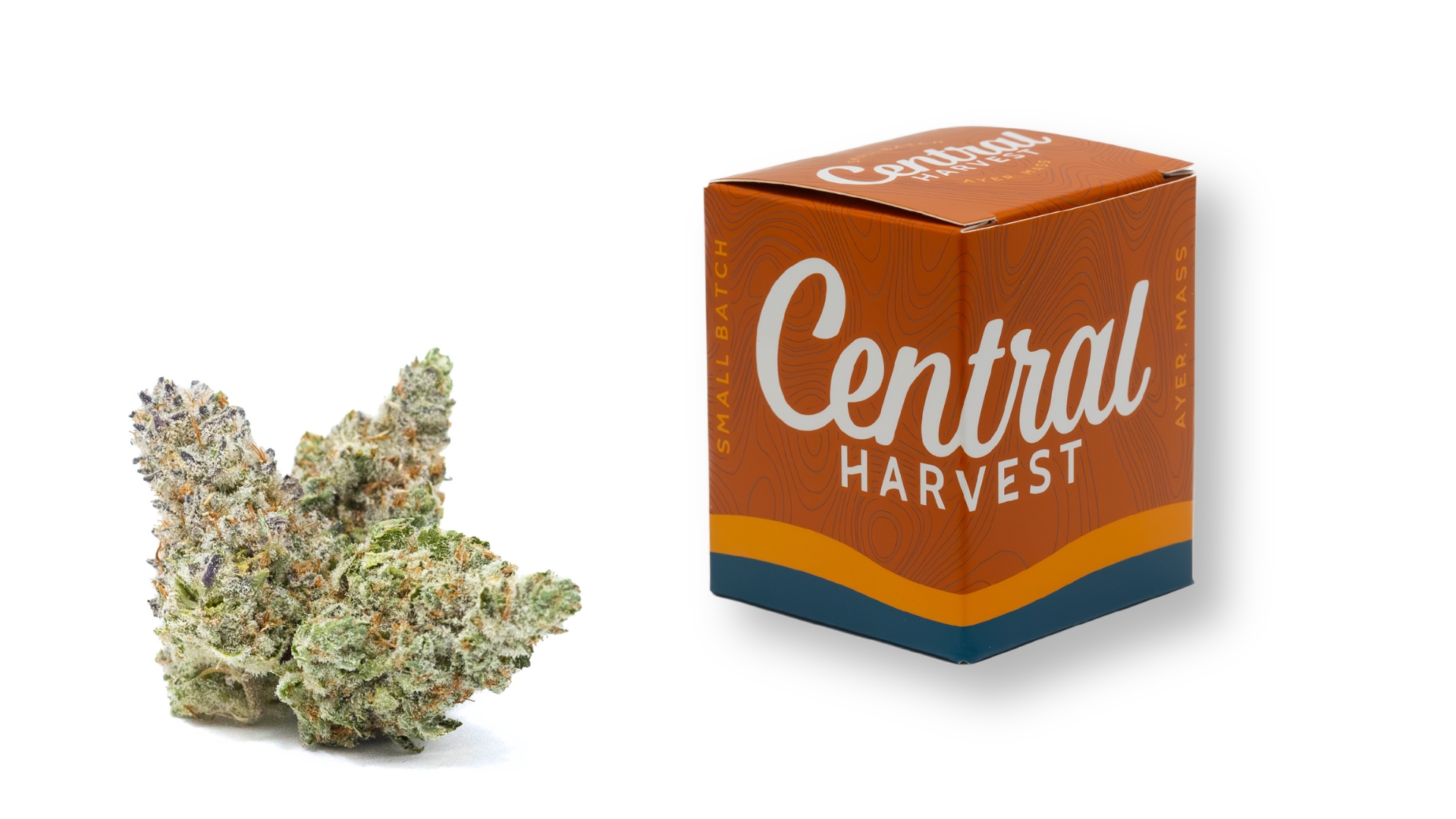 Planet of the Grapes is an Indica Cannabis Strain grown and packaged at Central Harvest