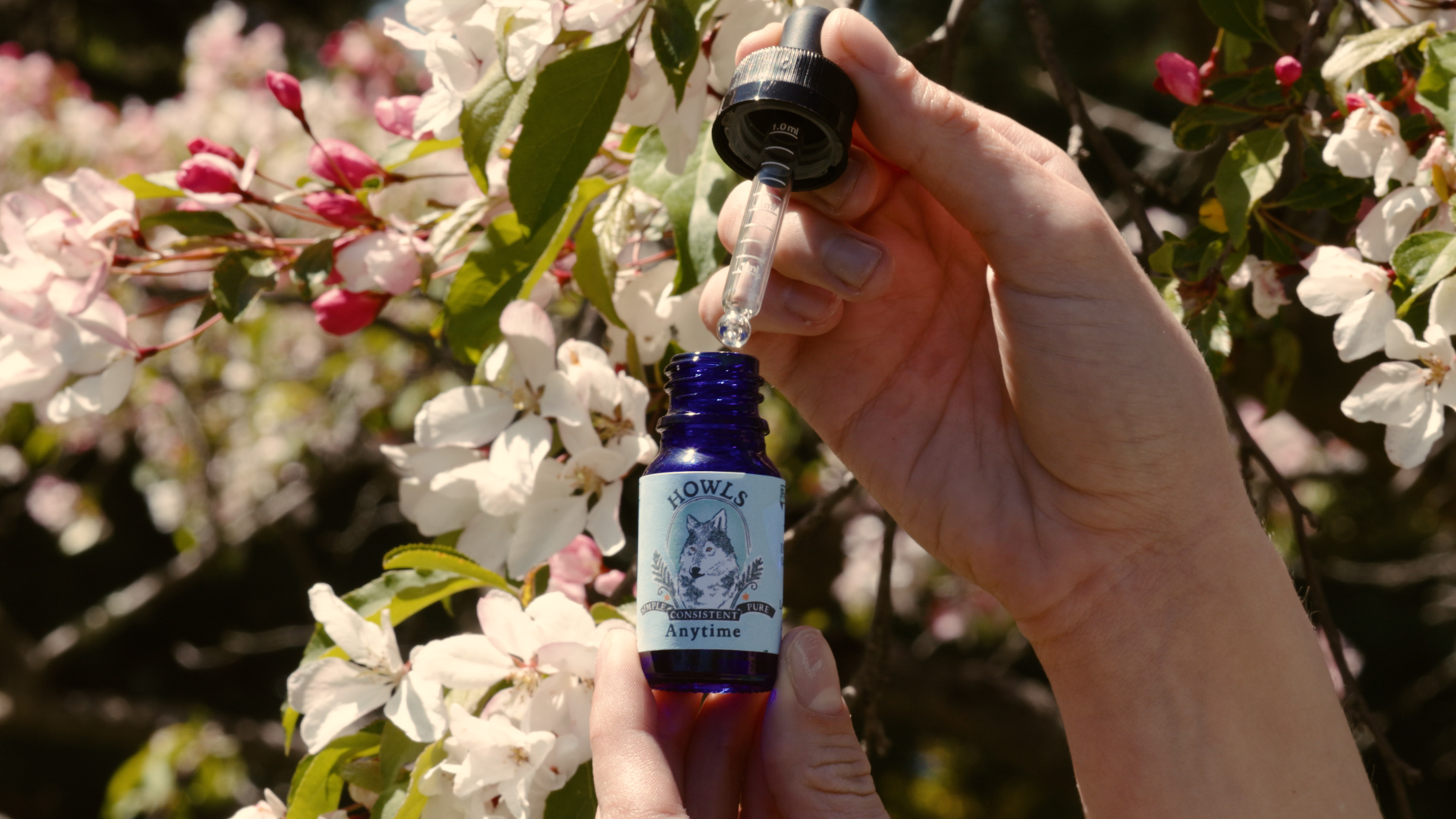 Benefits of Cannabis Tinctures and Howls New Dosing