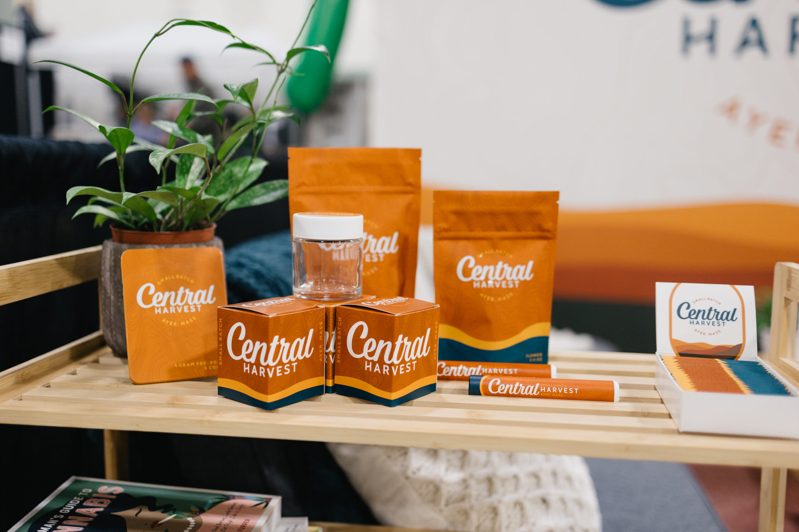 Why Freshness Matters: Central Harvest’s Premium Cannabis