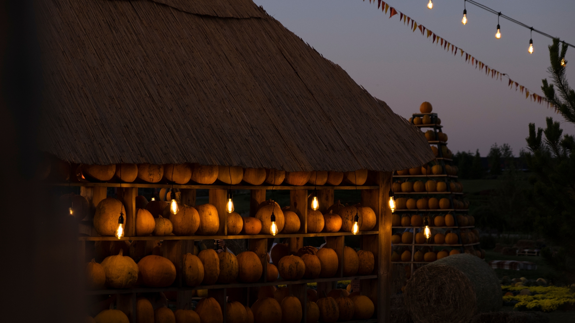 Town Pumpkin Festival