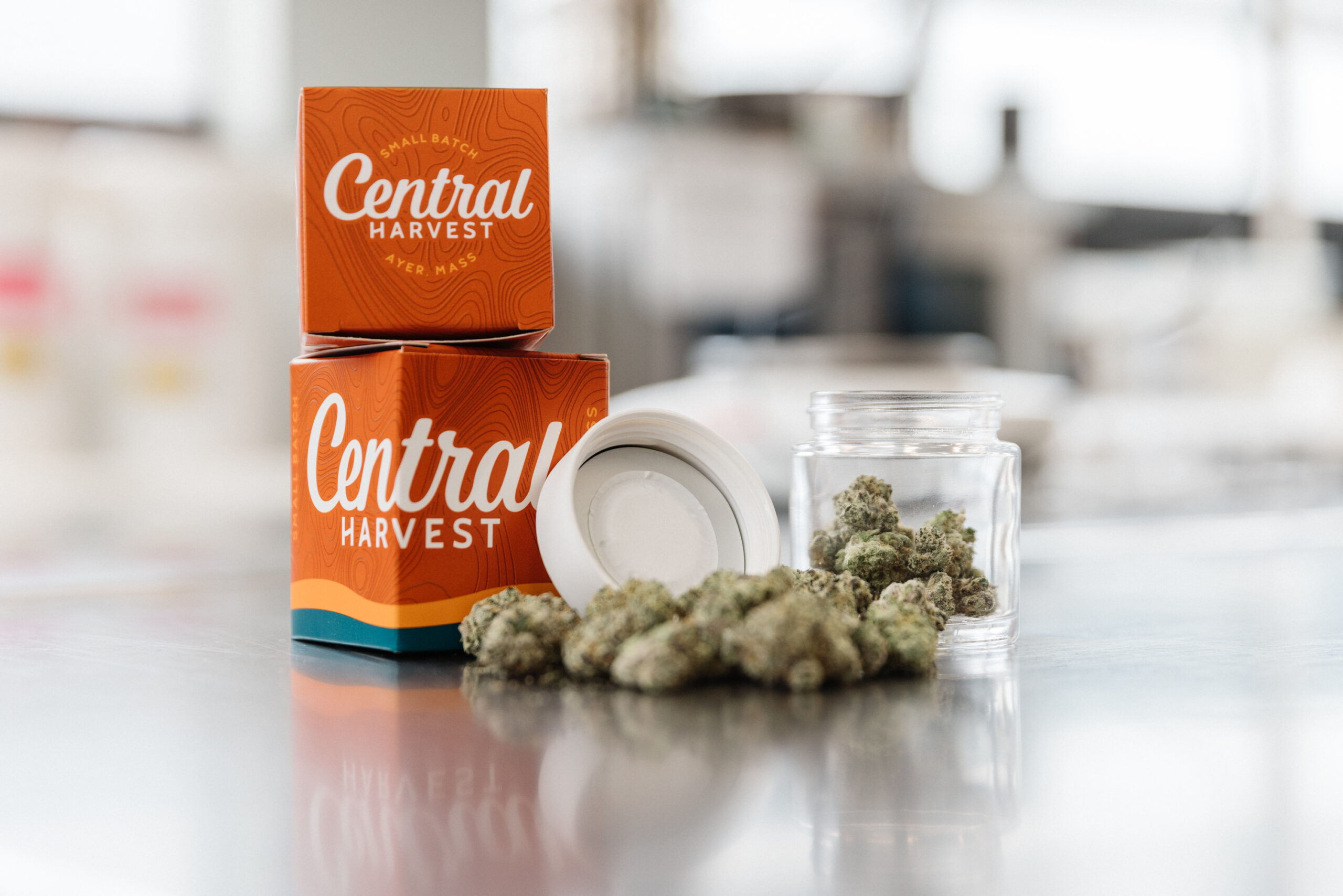 Central Harvest 2-way Humidity Packs for Cannabis Preservation