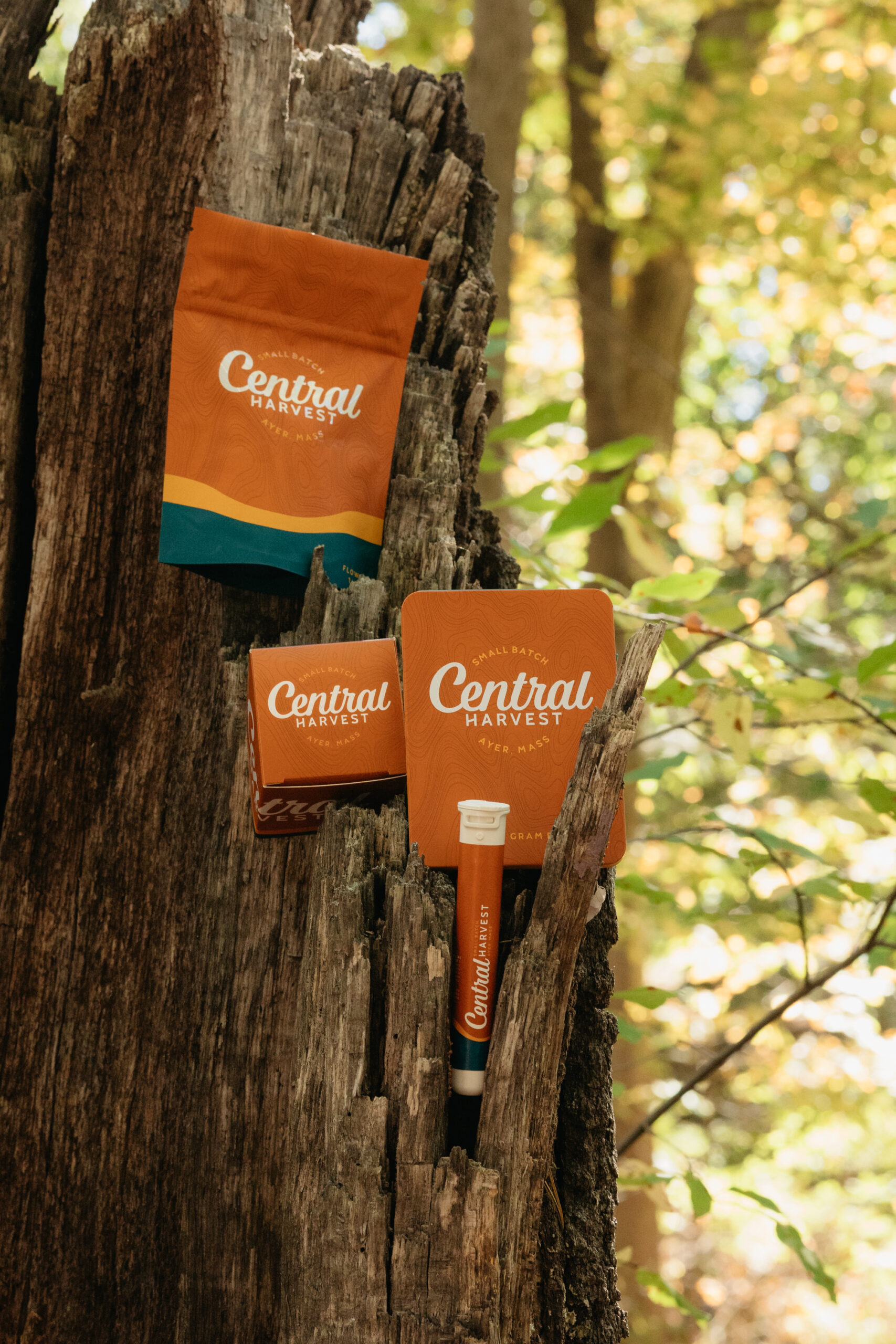 Ayer's Cannabis Community